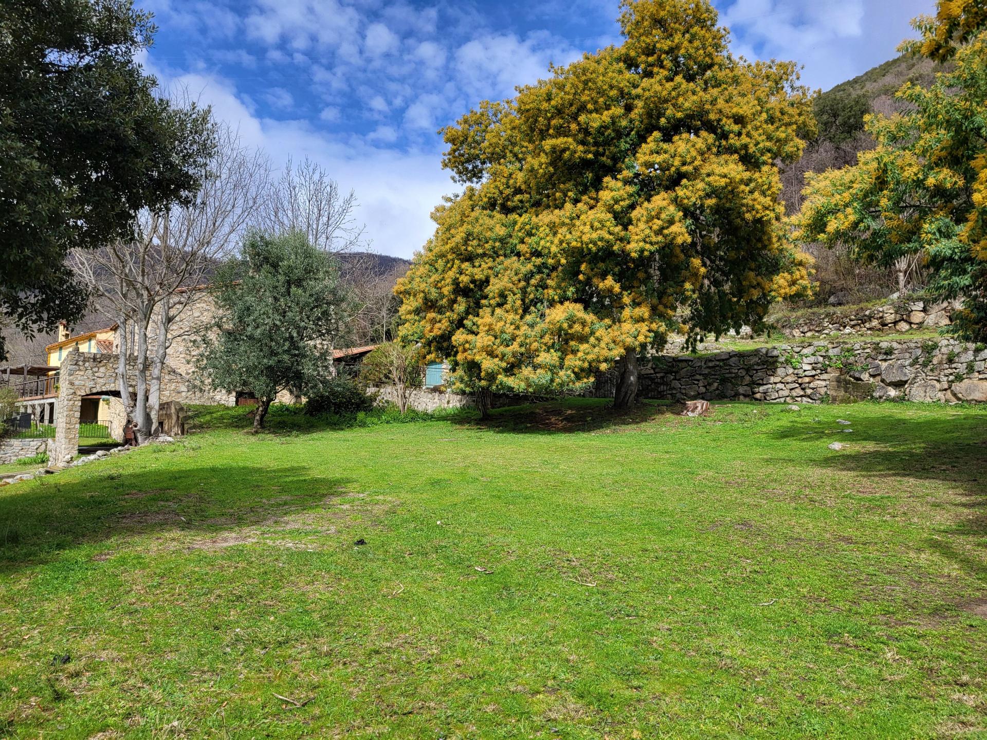 Photo 7 de l'annonce.