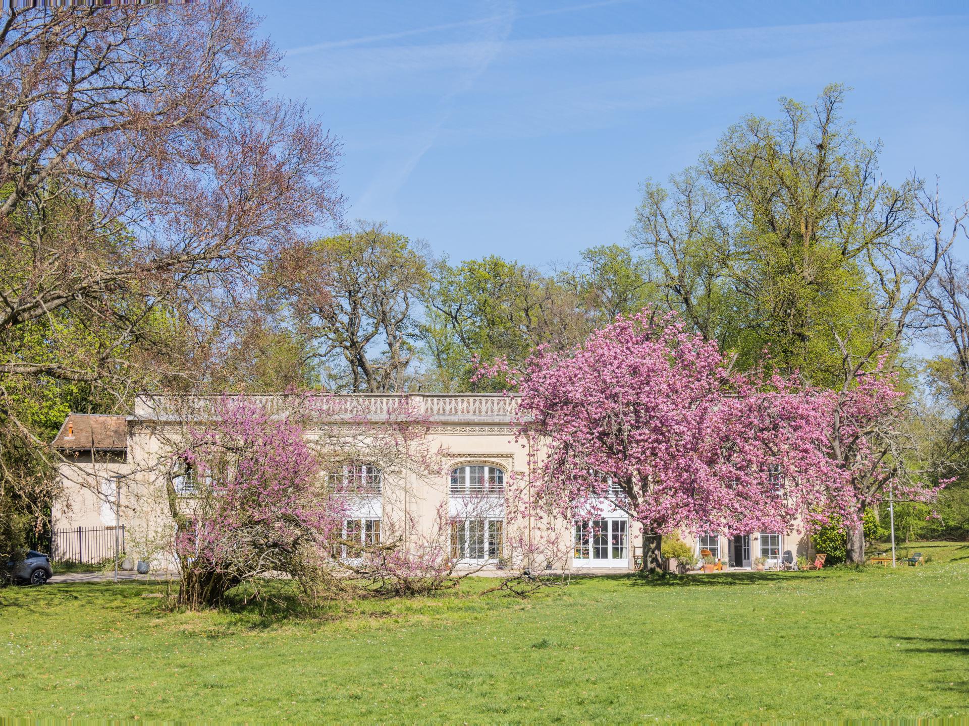 Photo 16 of the listing.