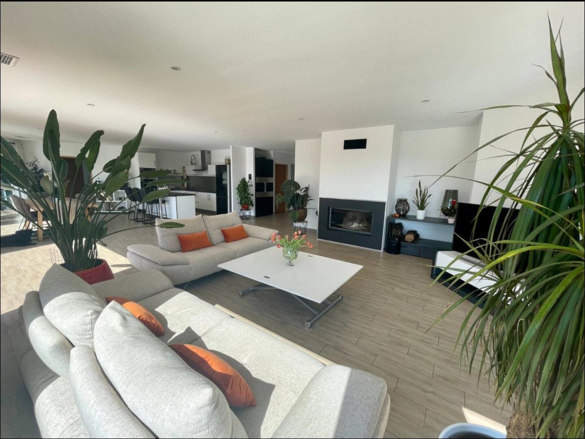 Photo 6 de l'annonce.