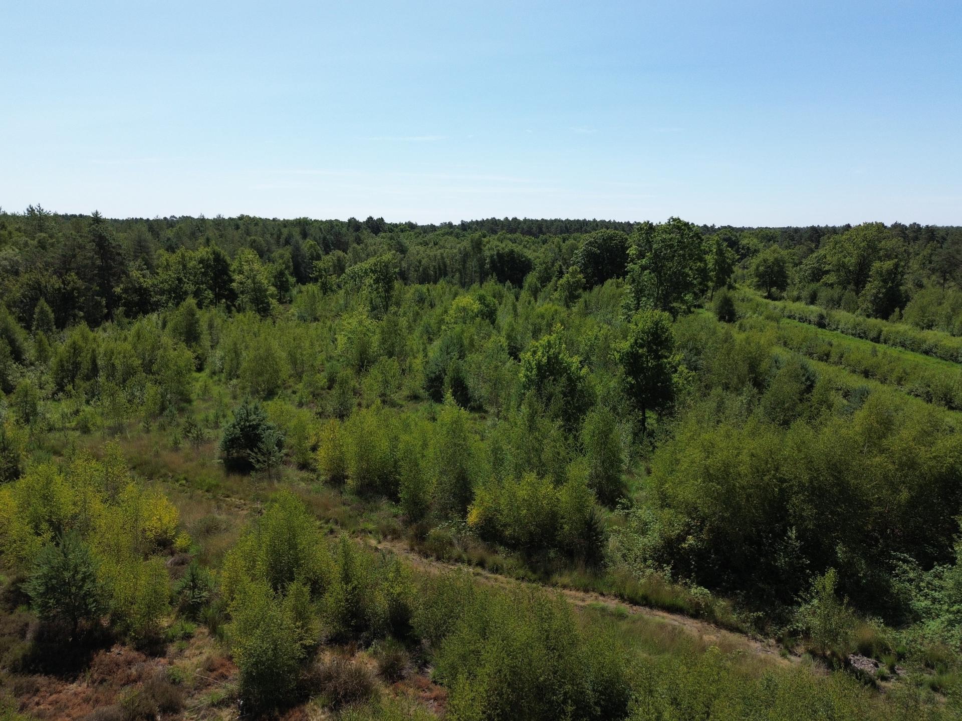 Photo 3 de l'annonce.