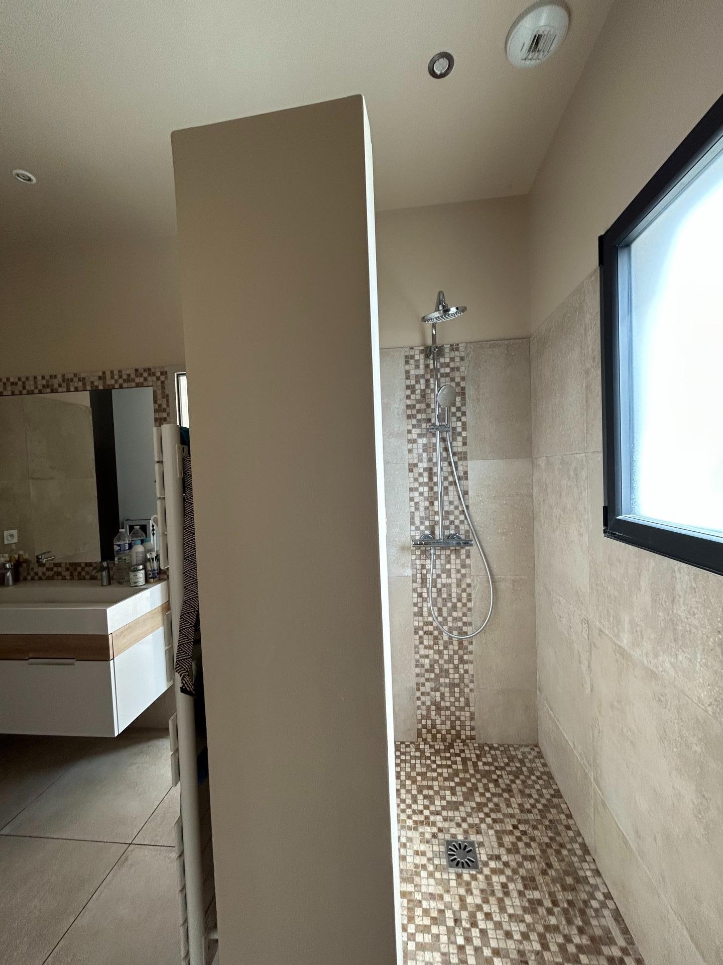 Photo 8 de l'annonce.