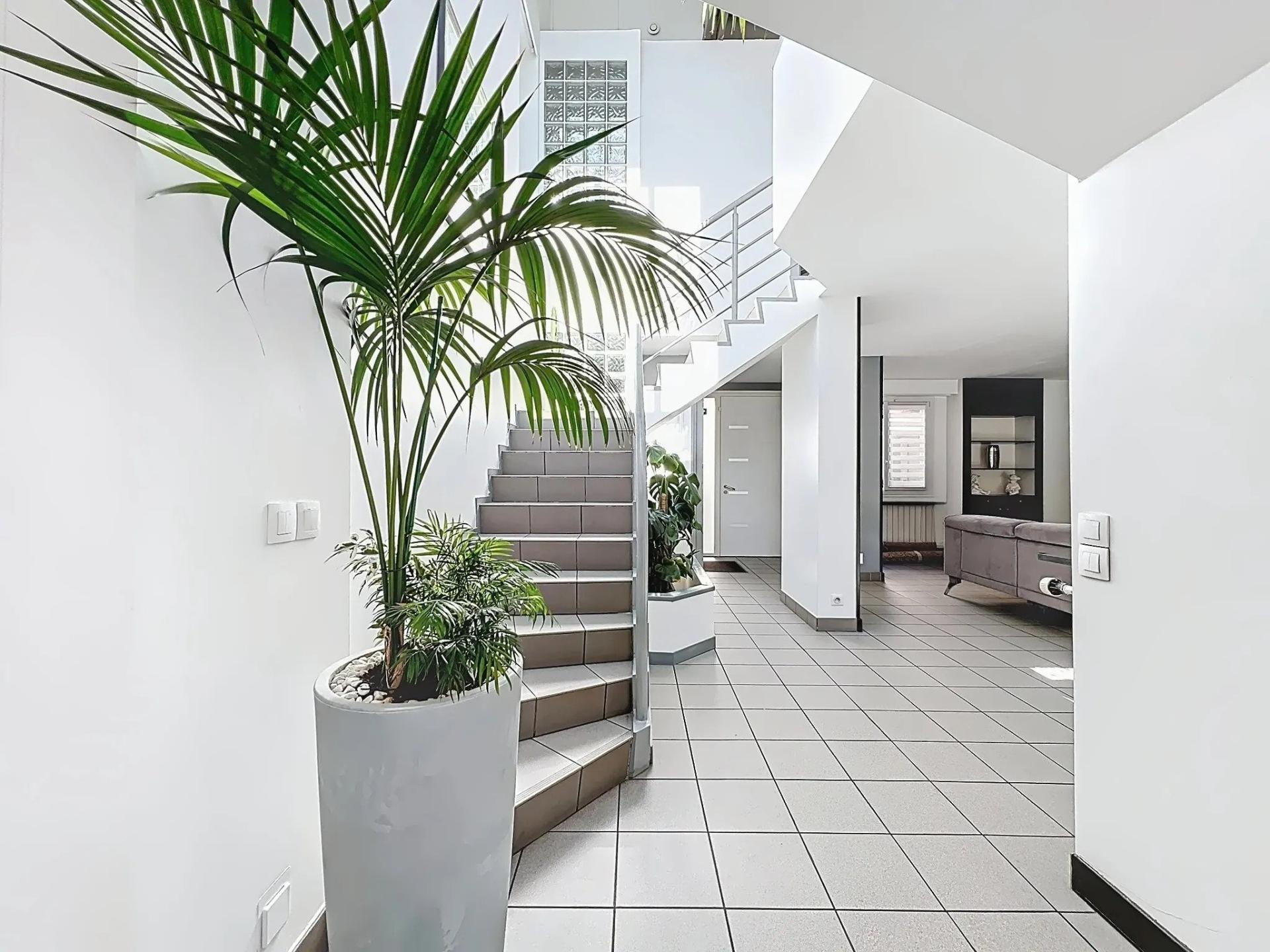 Photo 3 de l'annonce.