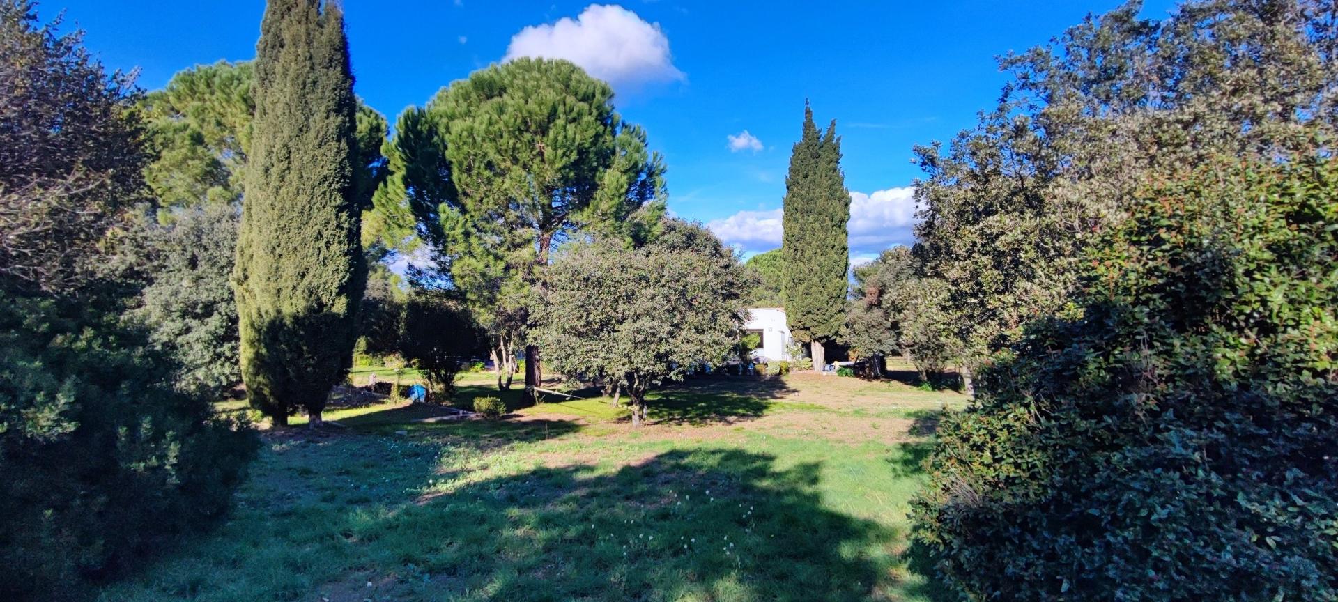 Photo 13 of the listing.