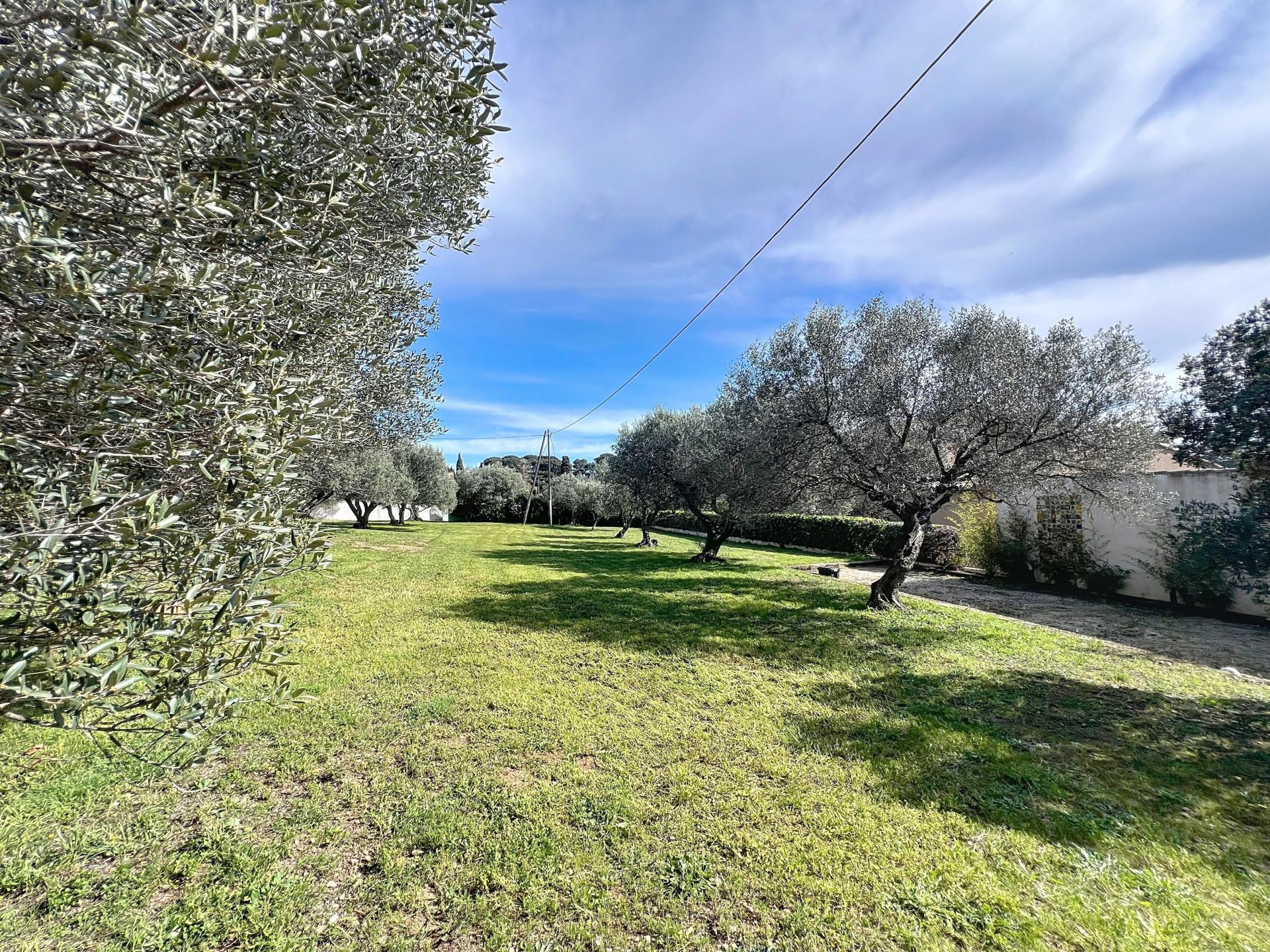 Photo 6 of the listing.