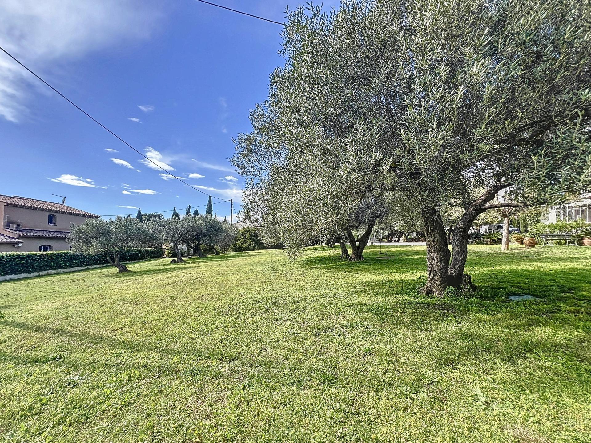 Photo 5 of the listing.