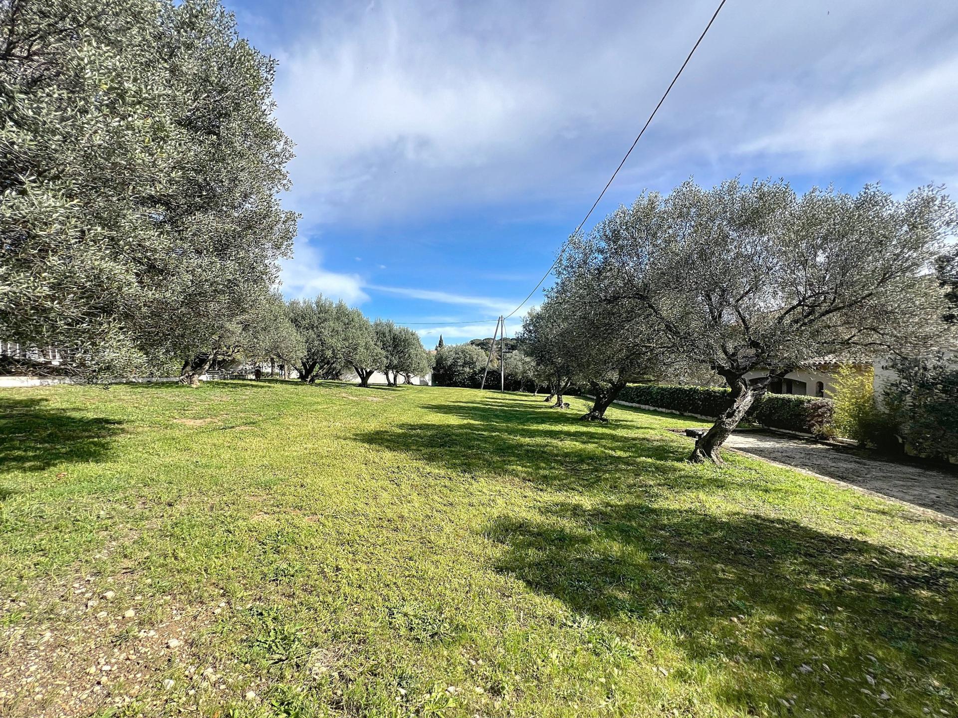 Photo 2 of the listing.