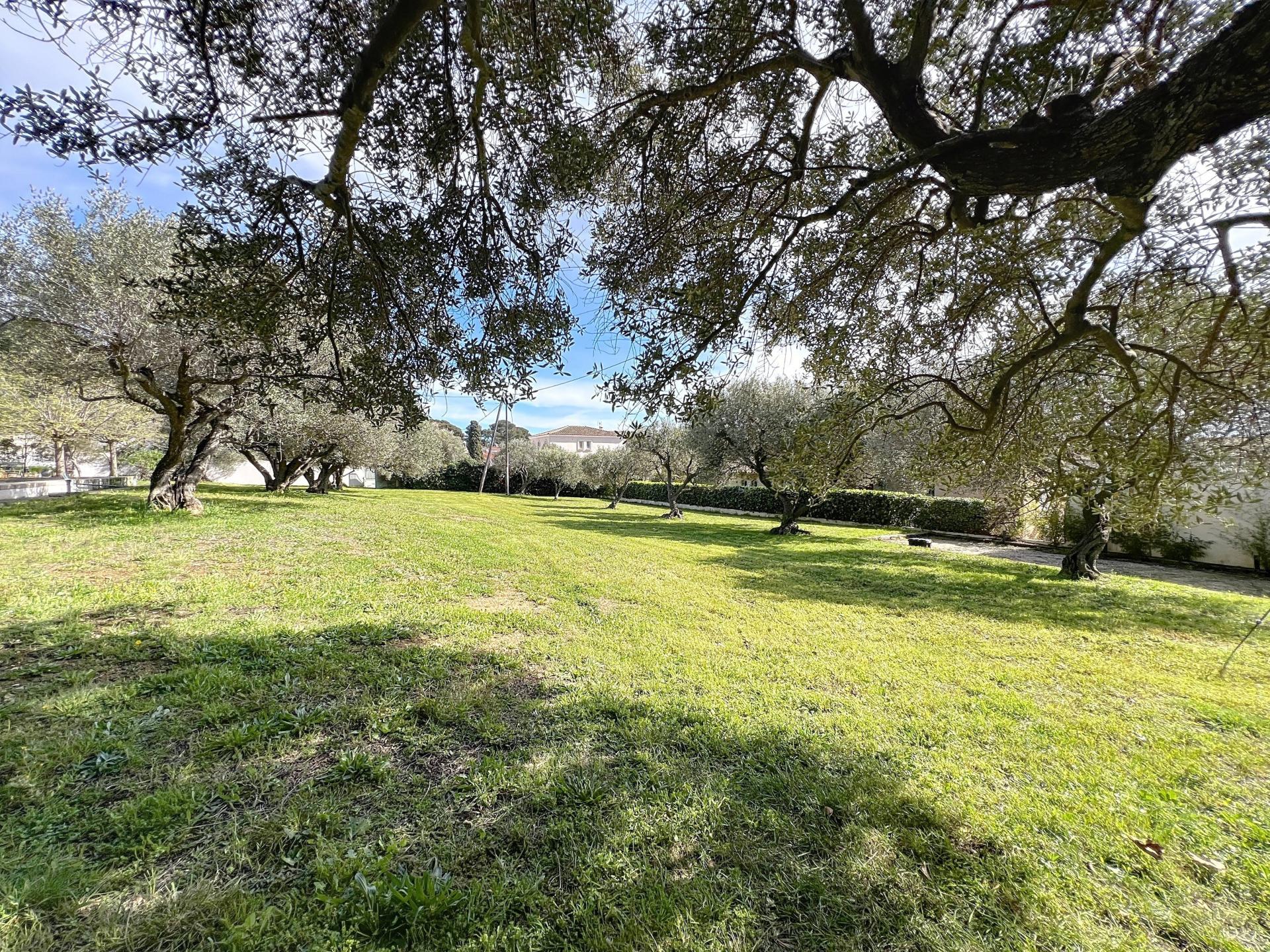 Photo 4 of the listing.