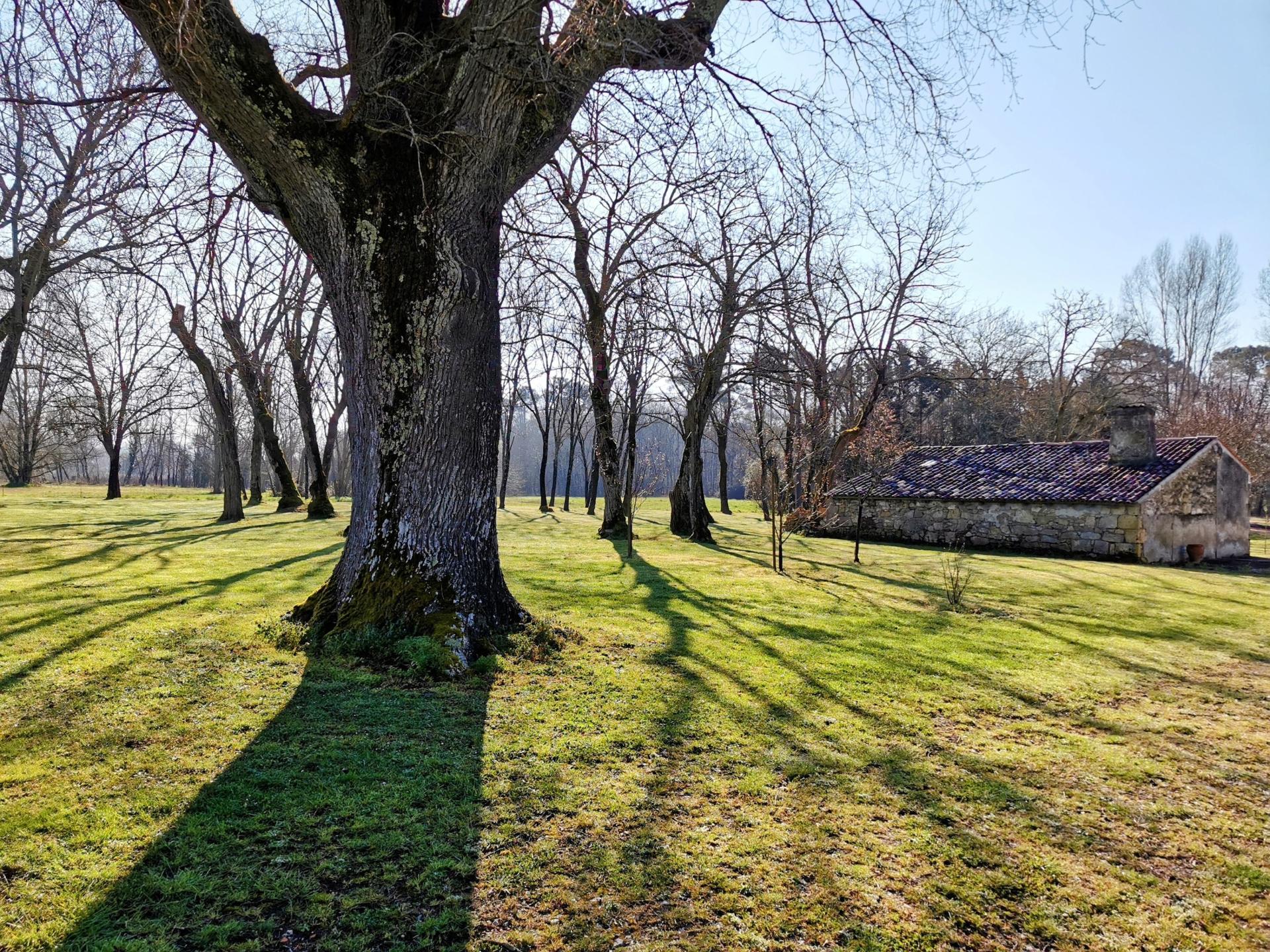 Photo 18 of the listing.