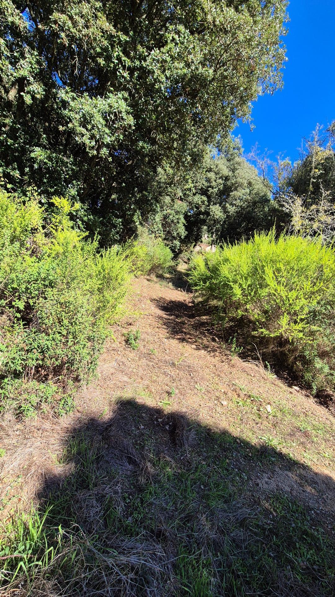 Photo 11 of the listing.