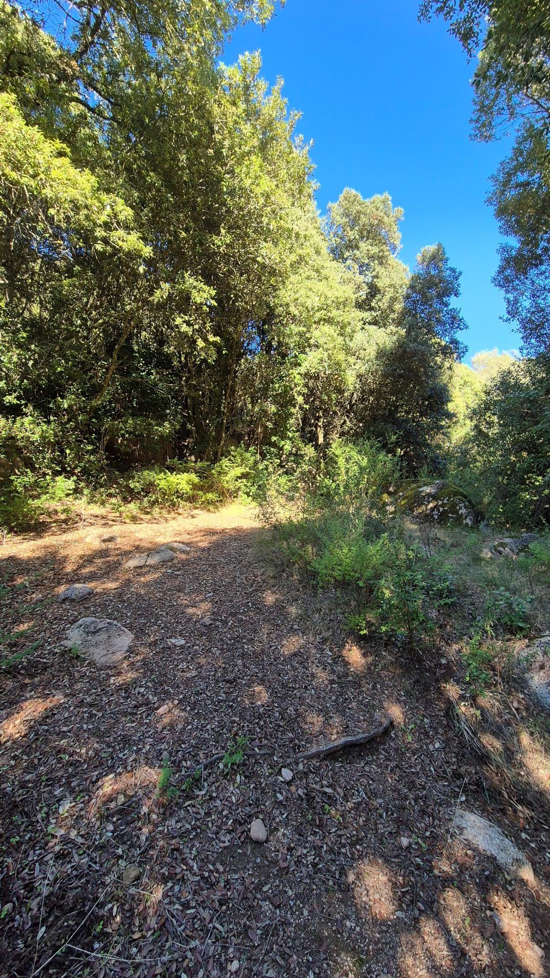 Photo 7 of the listing.