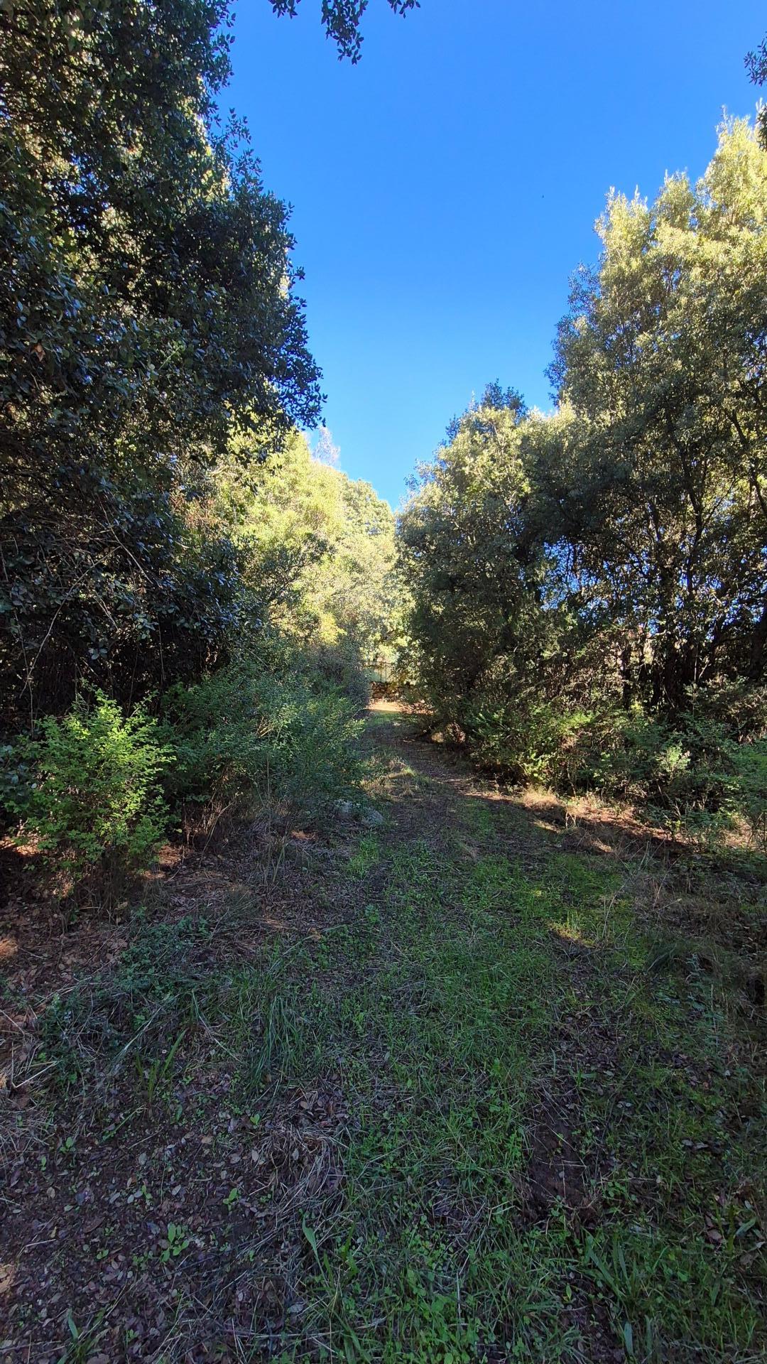 Photo 8 of the listing.