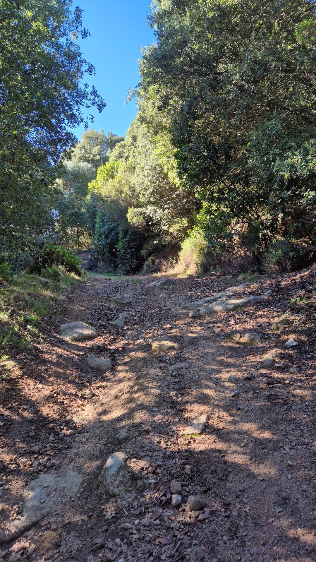 Photo 3 of the listing.