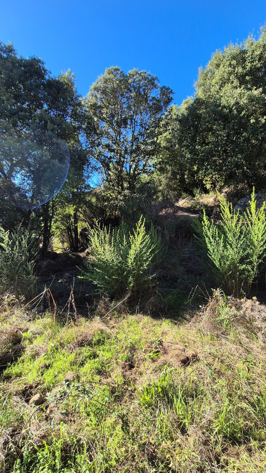 Photo 13 of the listing.