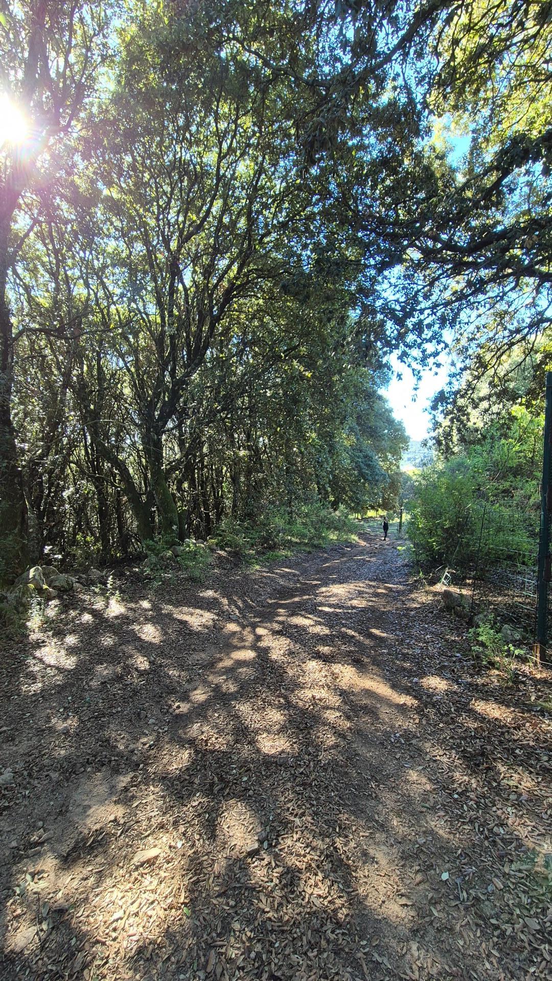 Photo 2 of the listing.