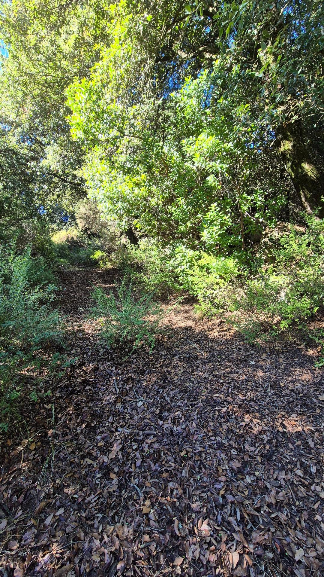 Photo 10 of the listing.