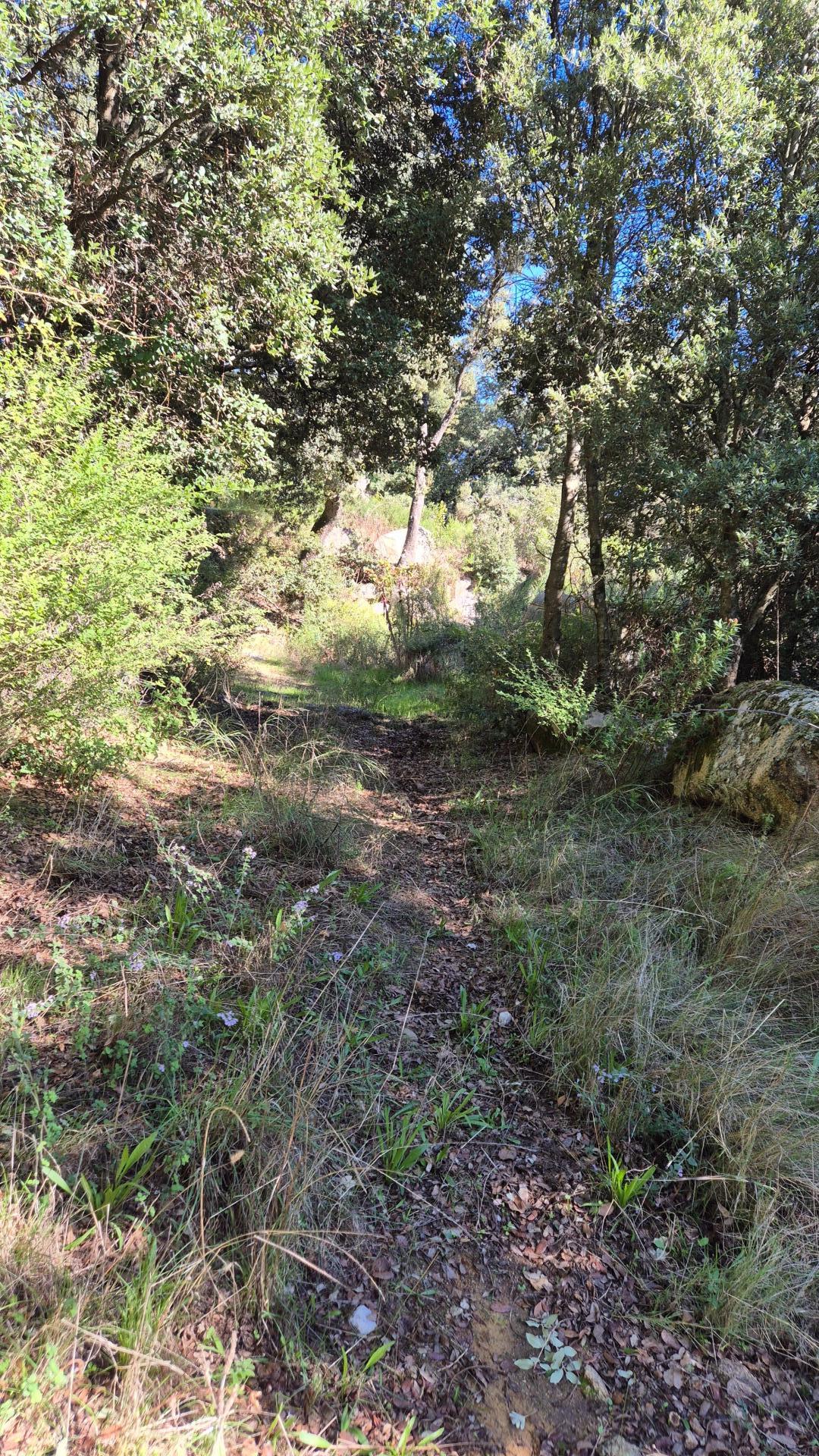 Photo 12 of the listing.