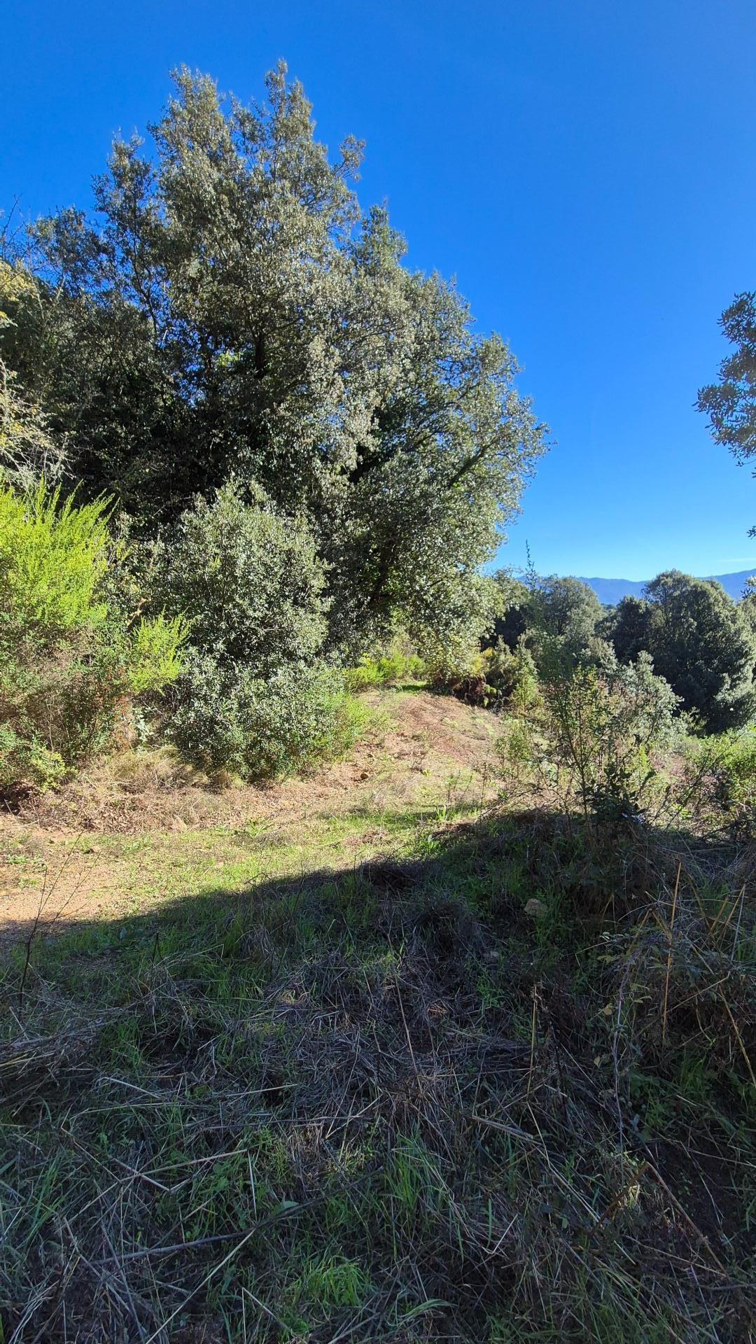 Photo 4 of the listing.