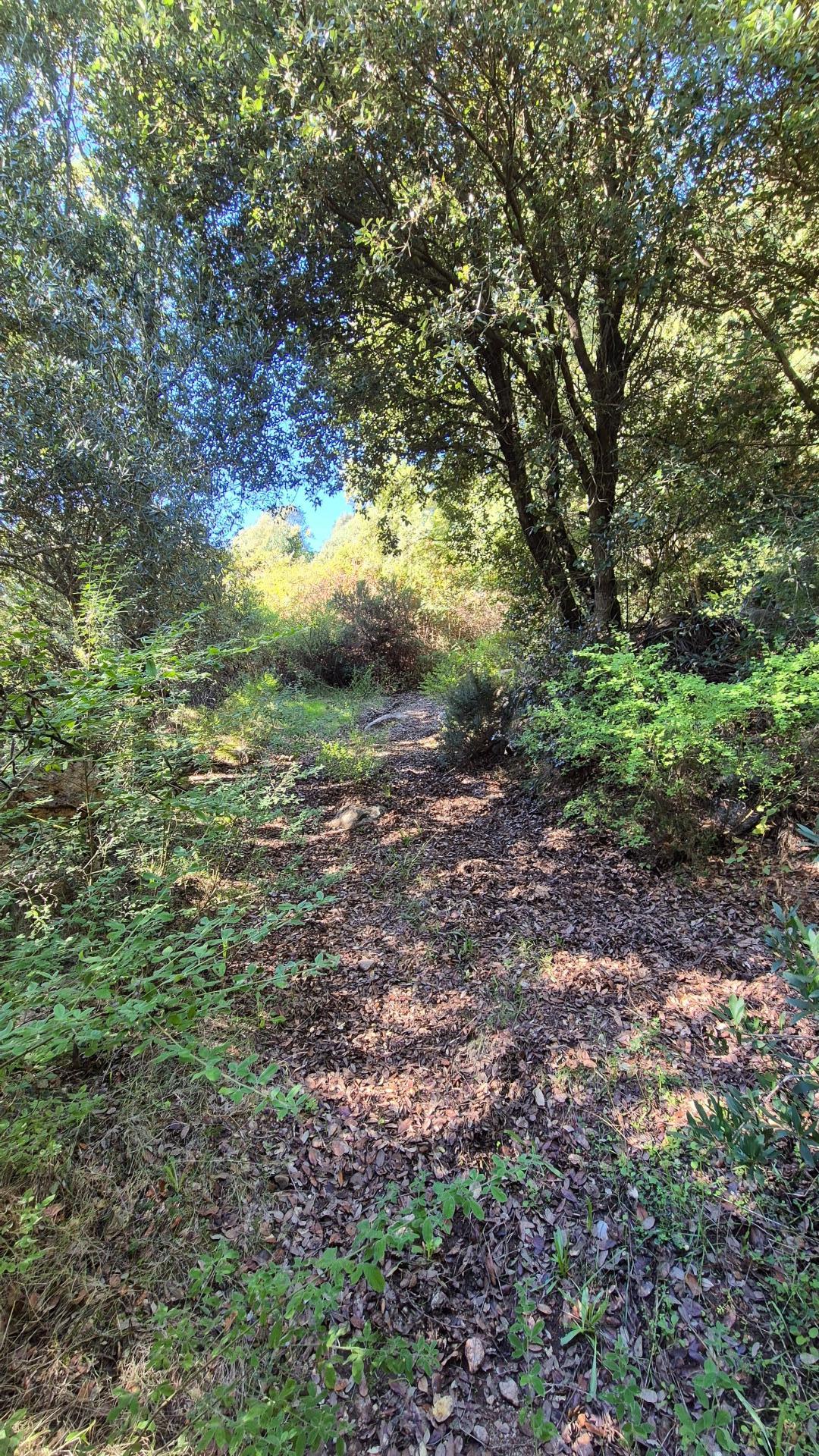 Photo 9 of the listing.