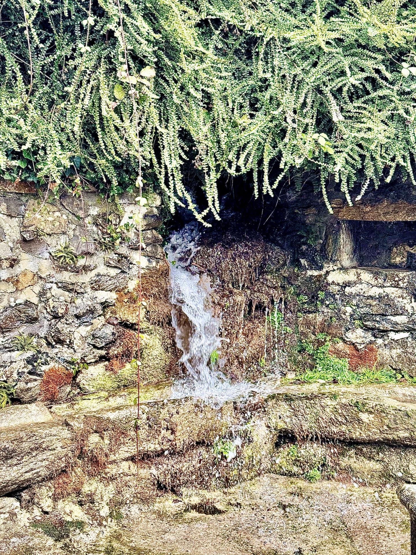 Photo 10 de l'annonce.