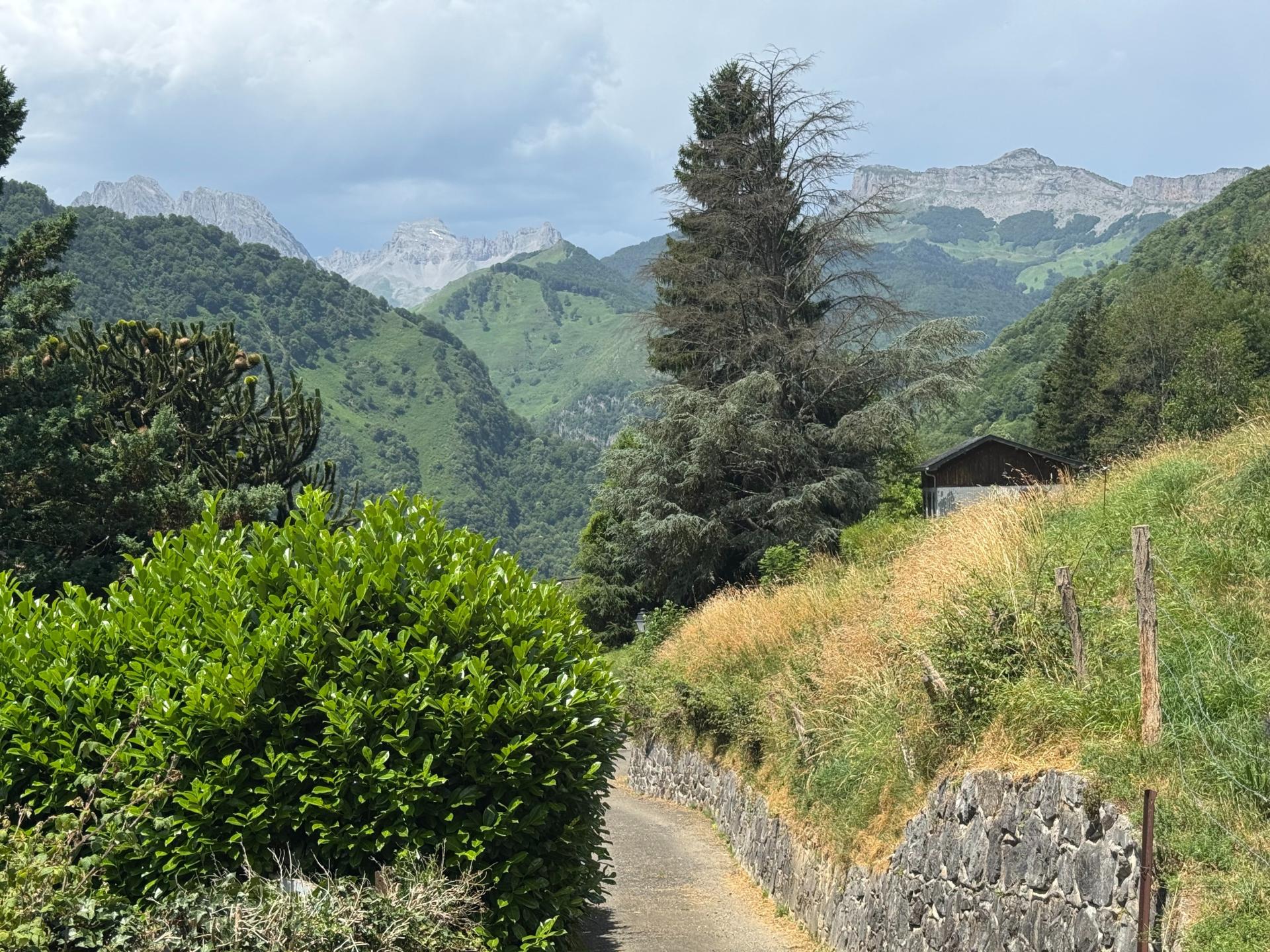 Photo 12 de l'annonce.