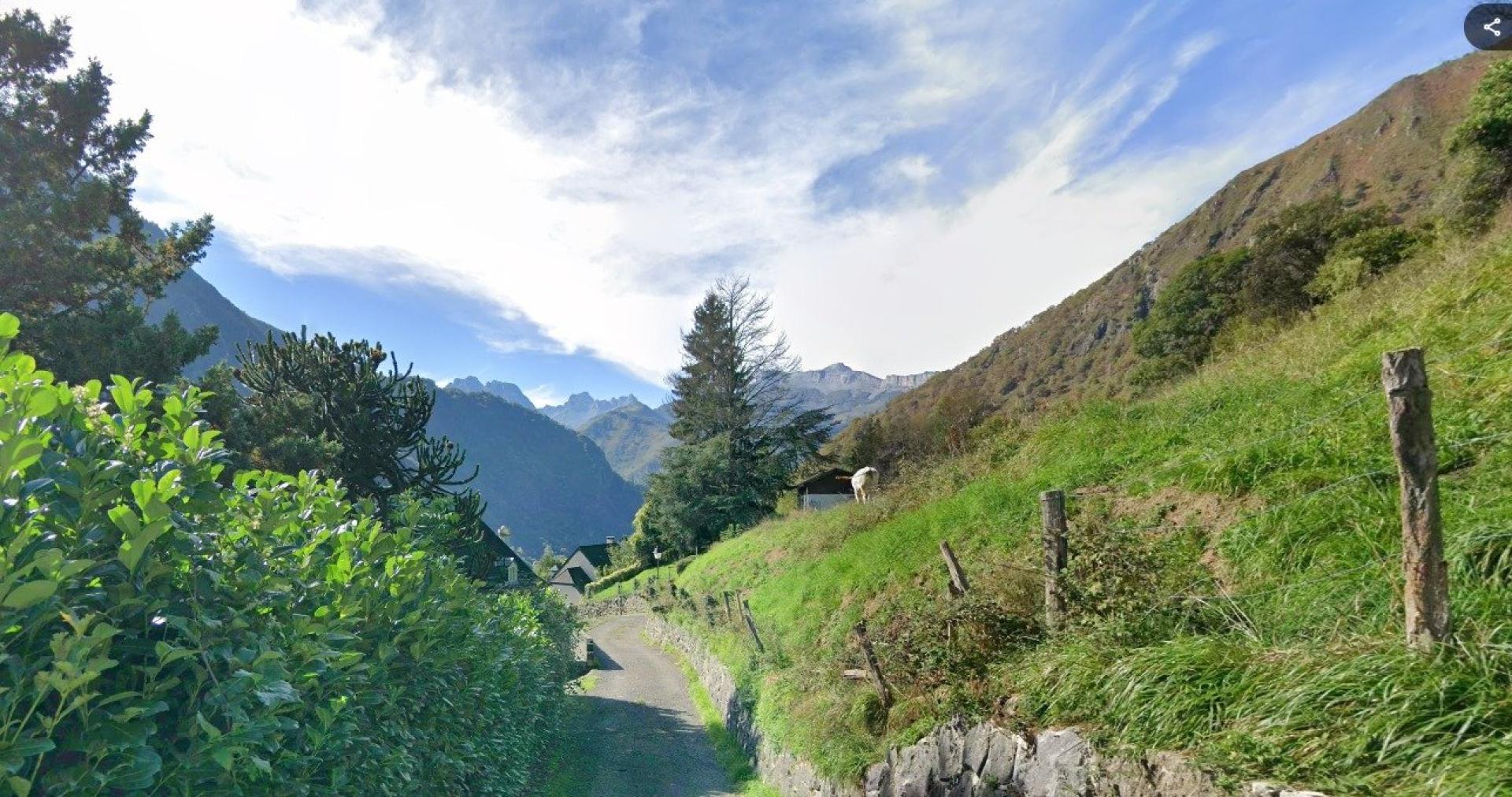 Photo 2 de l'annonce.