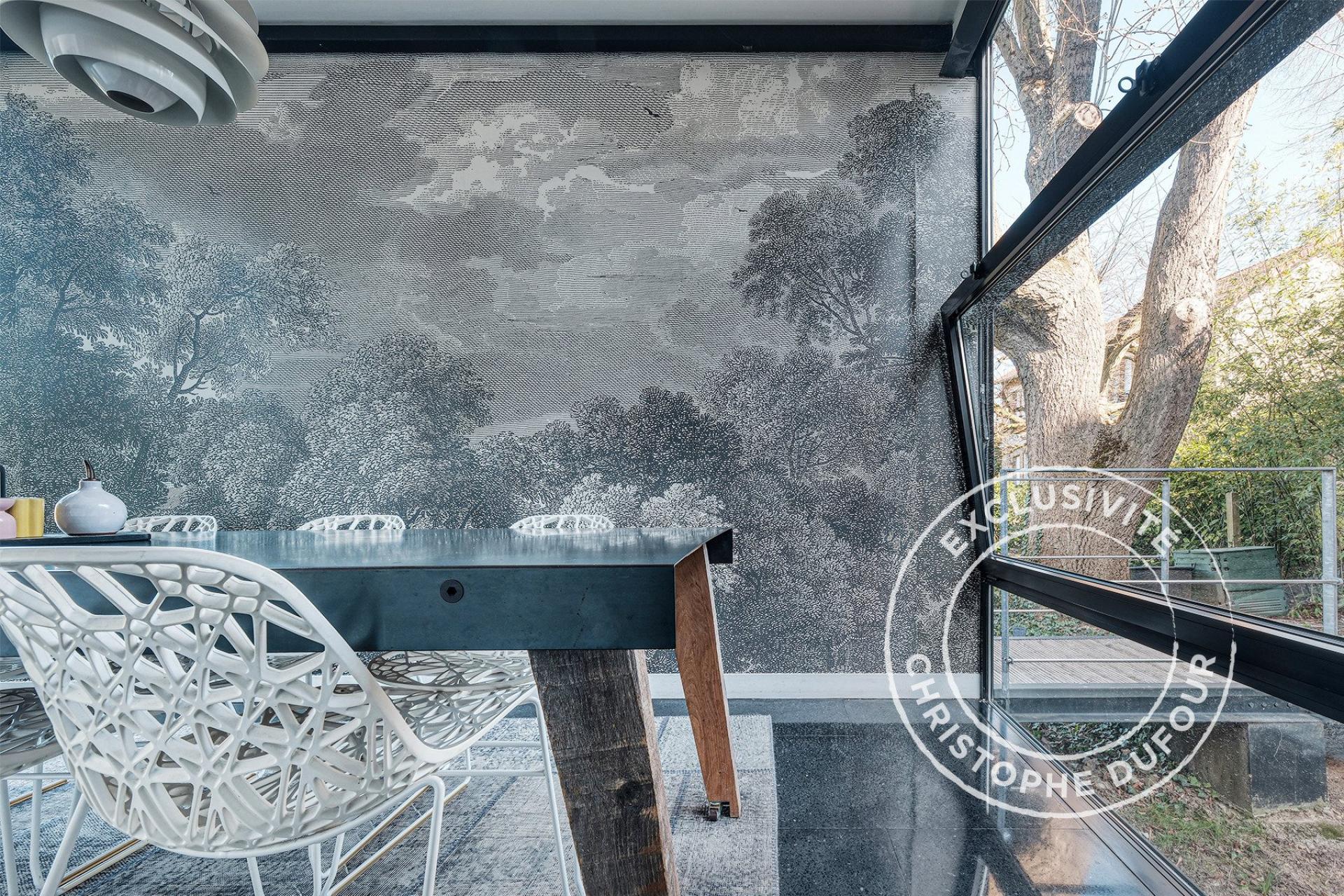 Photo 5 de l'annonce.