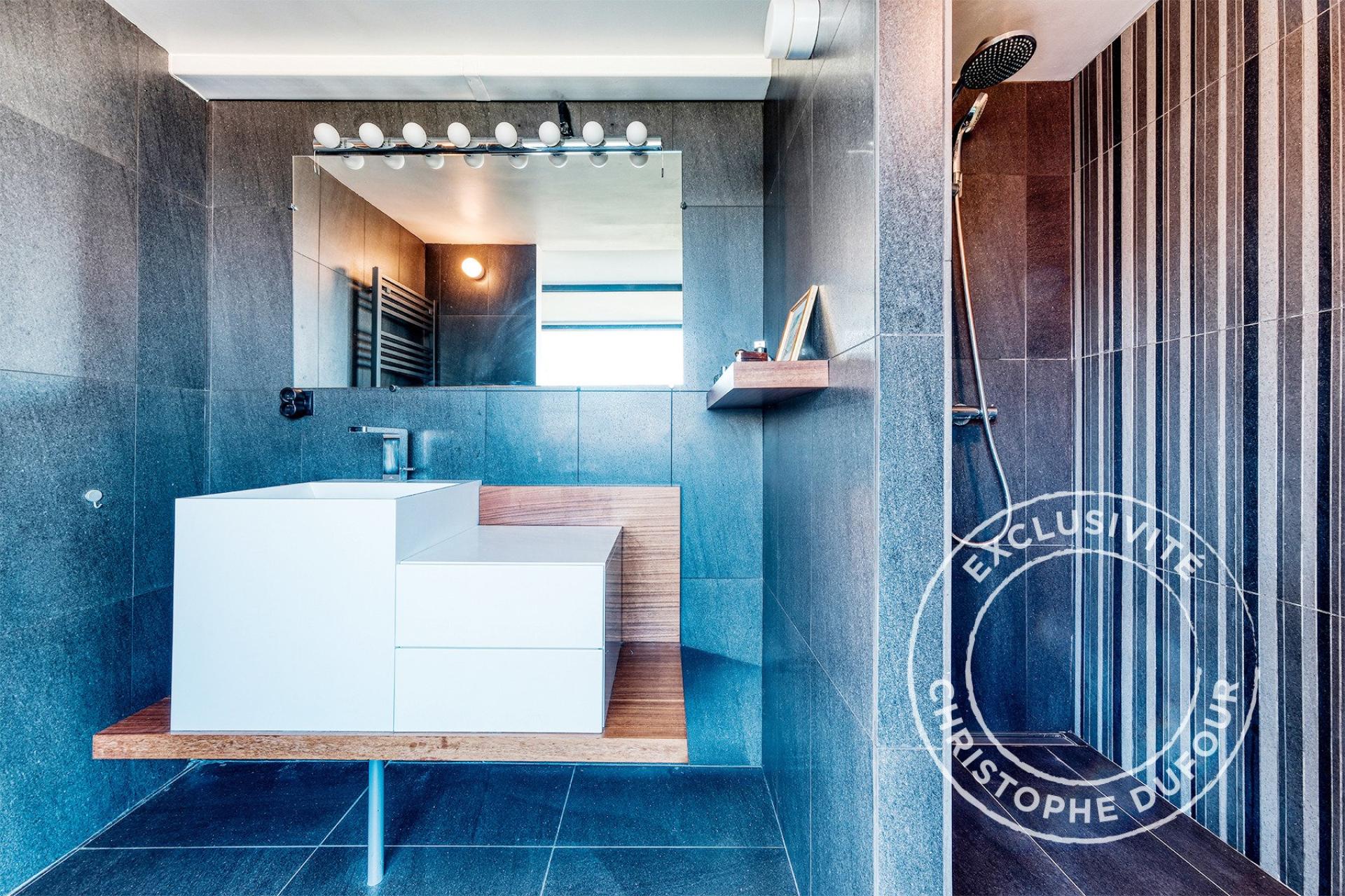 Photo 8 de l'annonce.