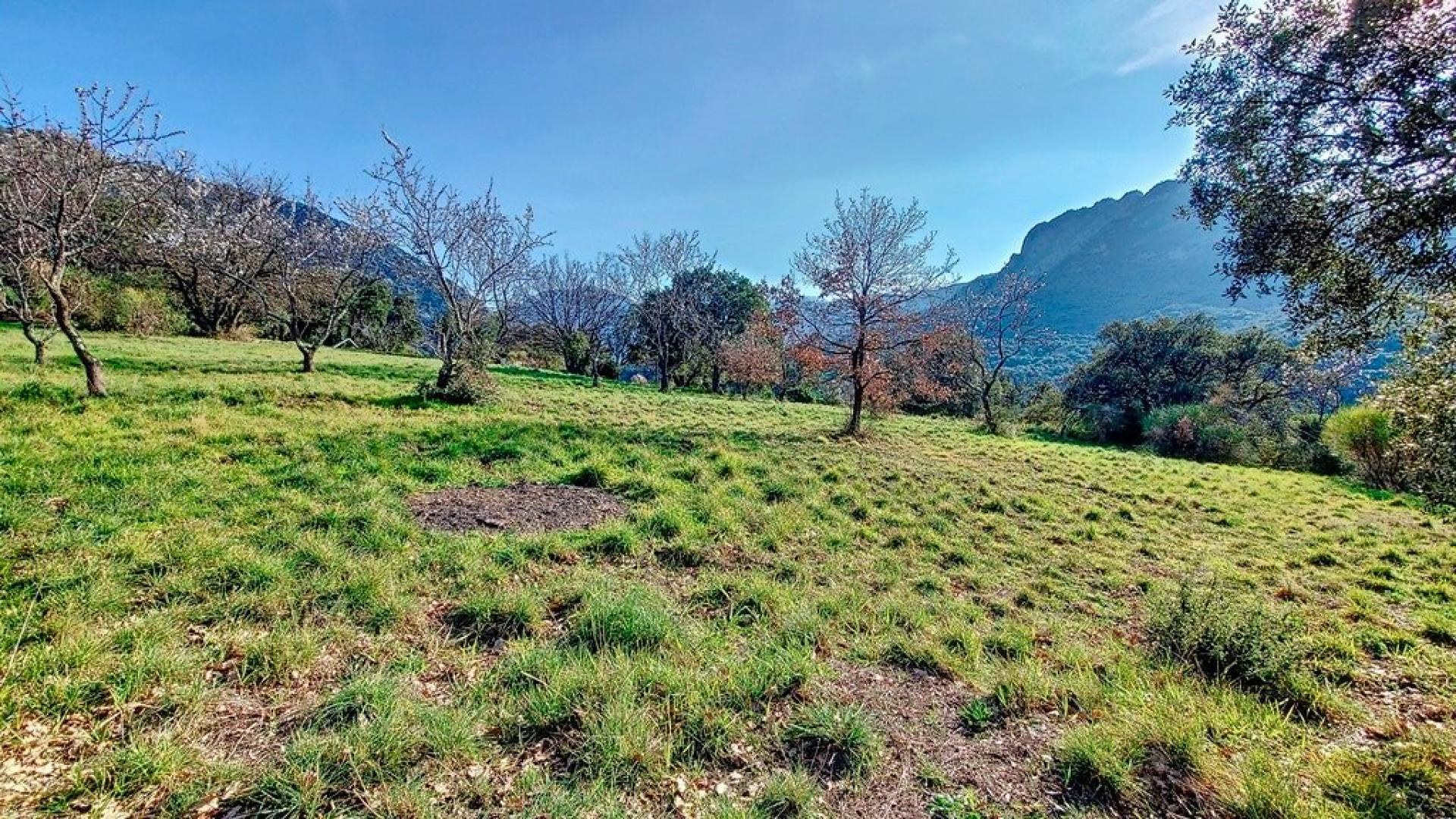 Photo 5 de l'annonce.