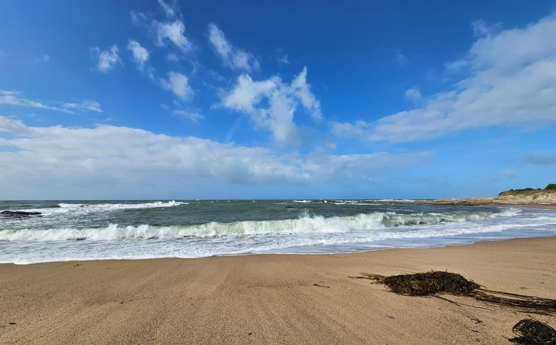 Photo 4 de l'annonce.