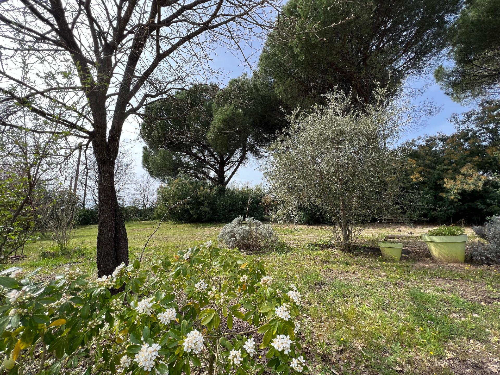 Photo 4 de l'annonce.