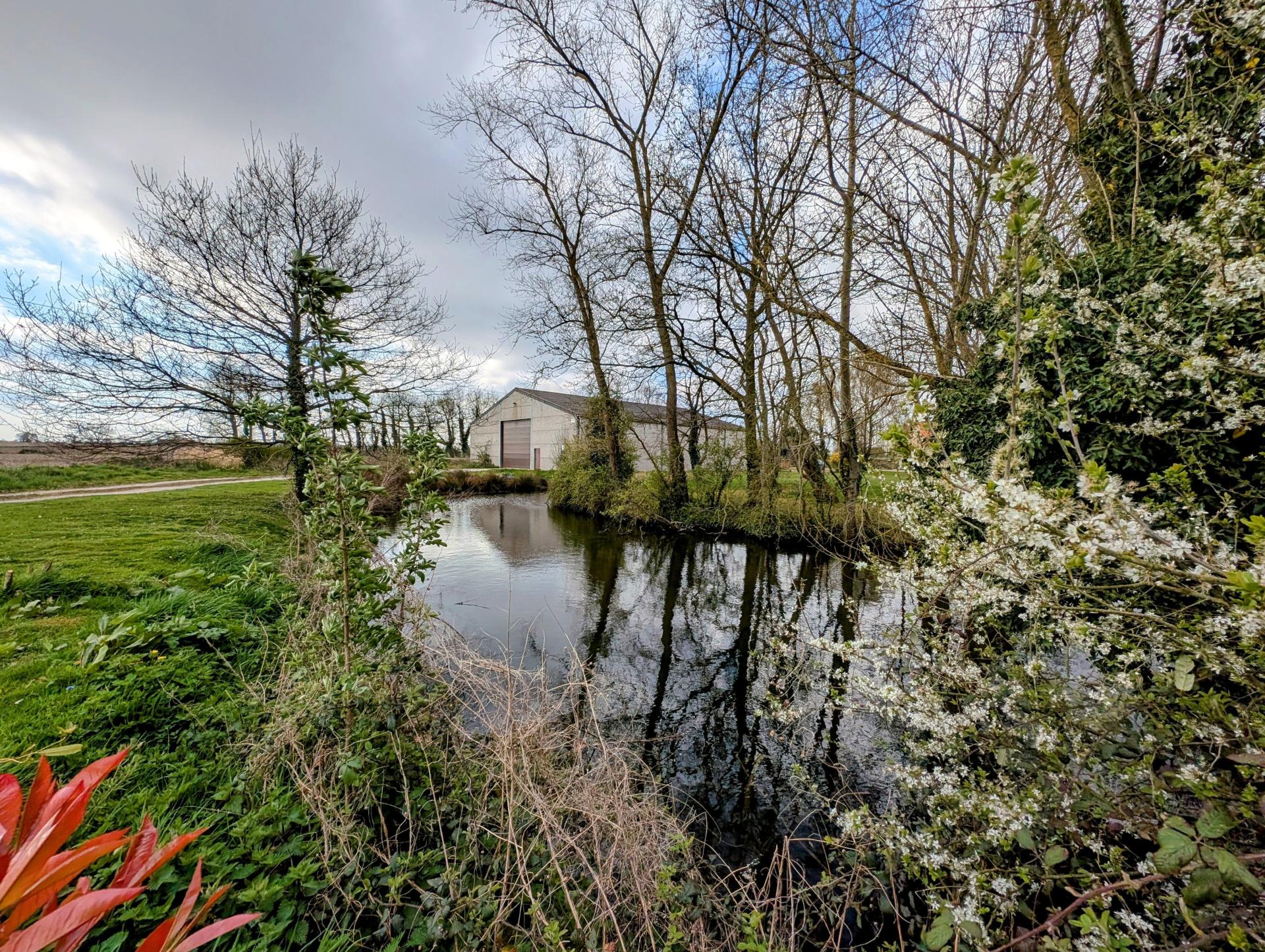 Photo 15 de l'annonce.