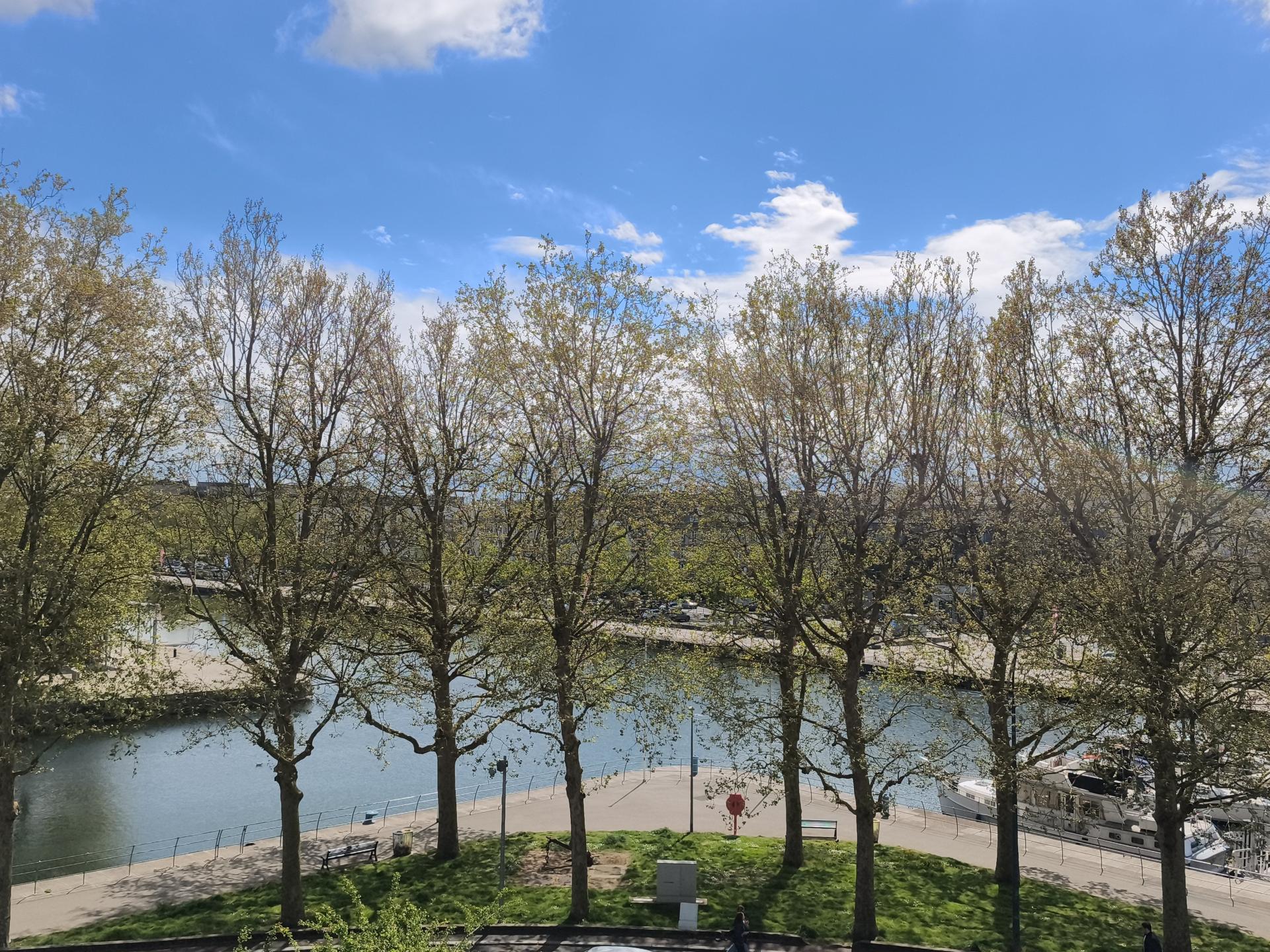 Photo 2 de l'annonce.