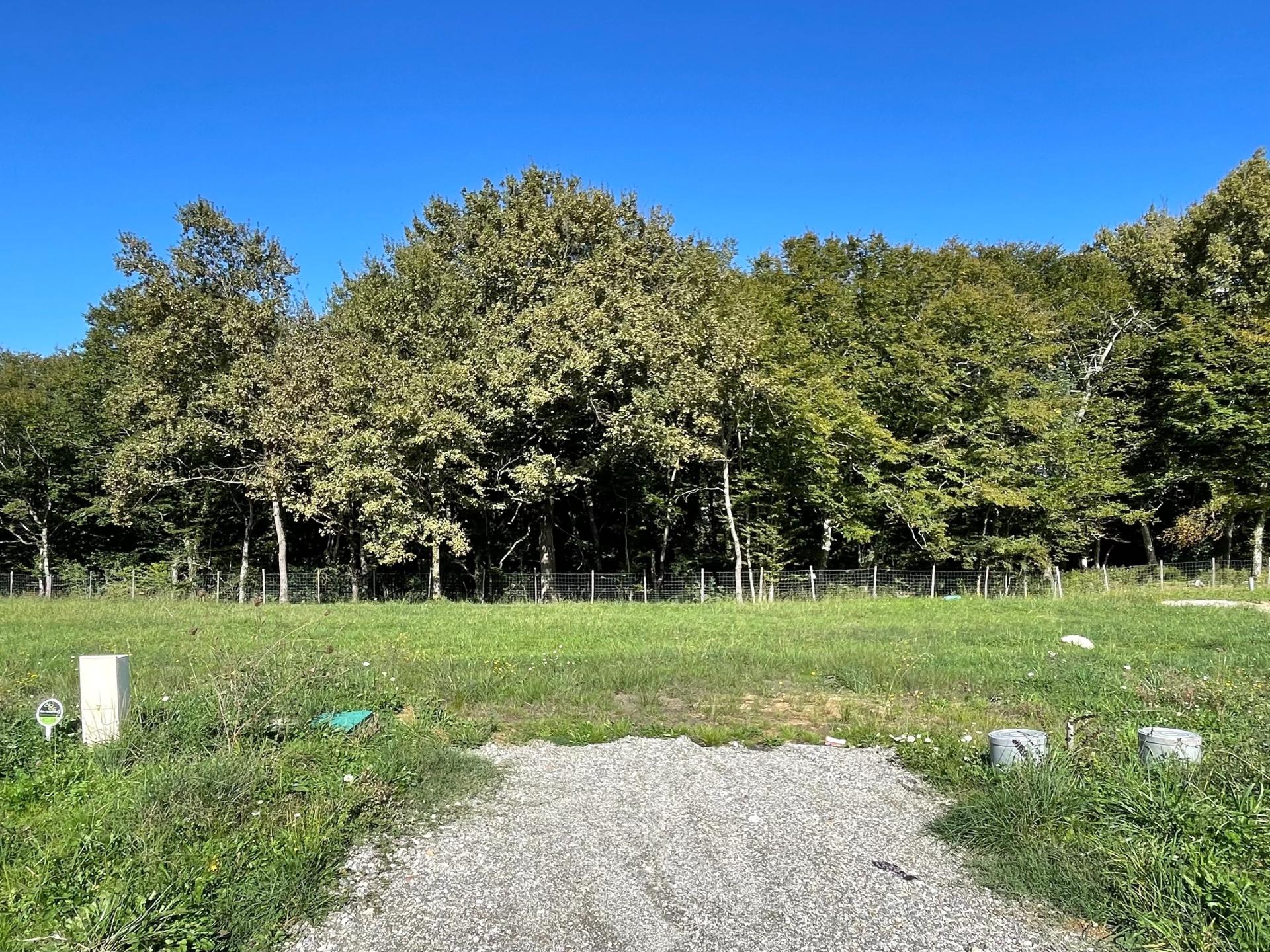 Photo 2 de l'annonce.