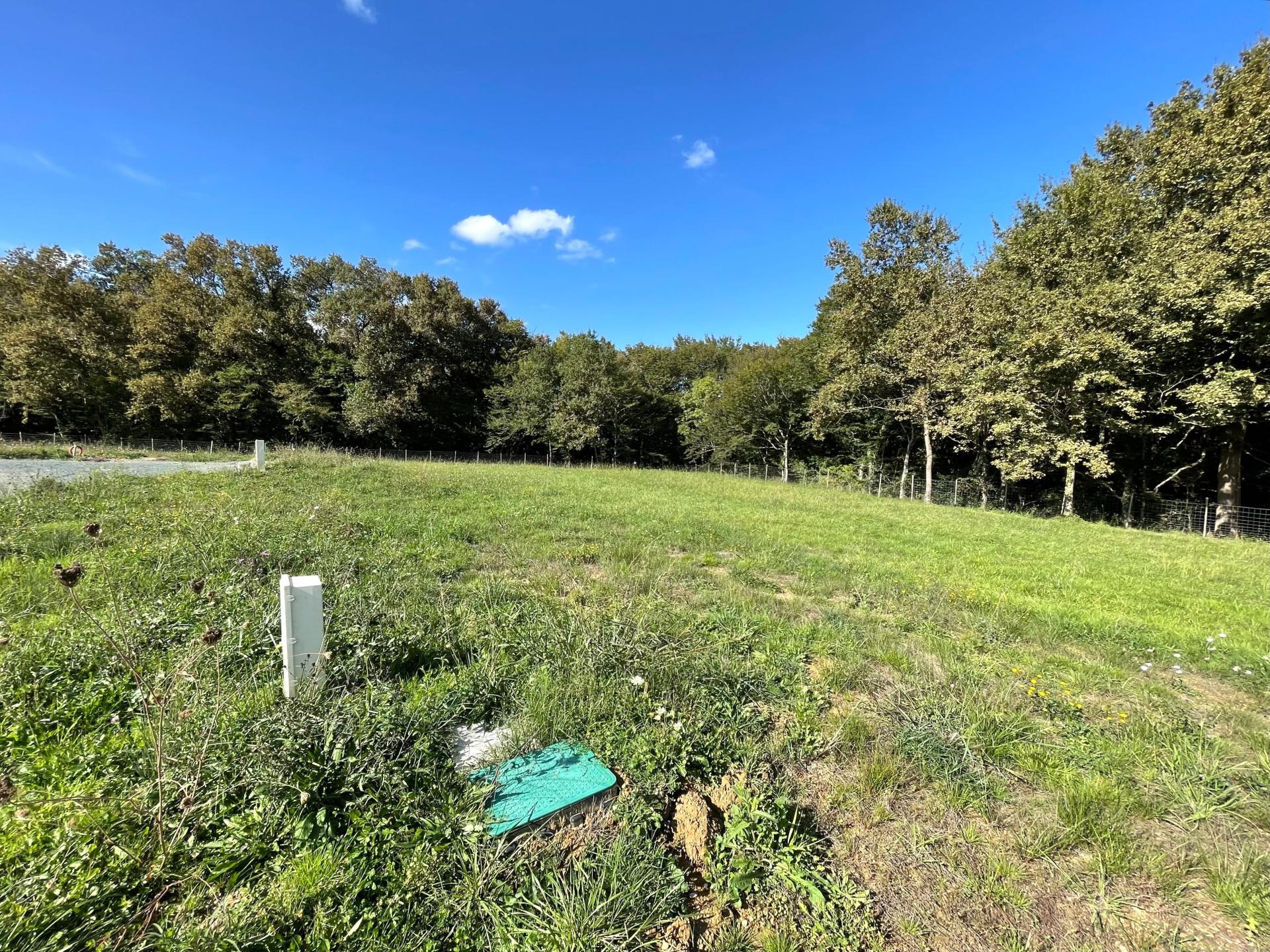 Photo 4 de l'annonce.