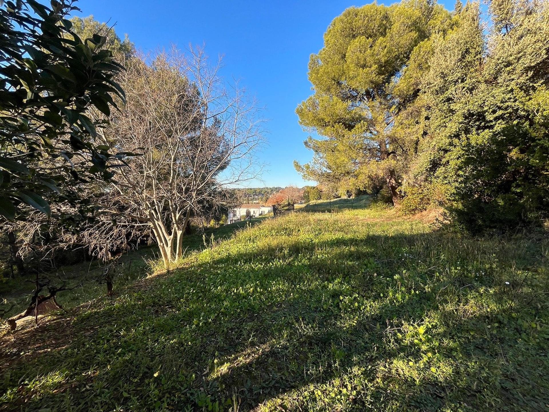 Photo 7 de l'annonce.