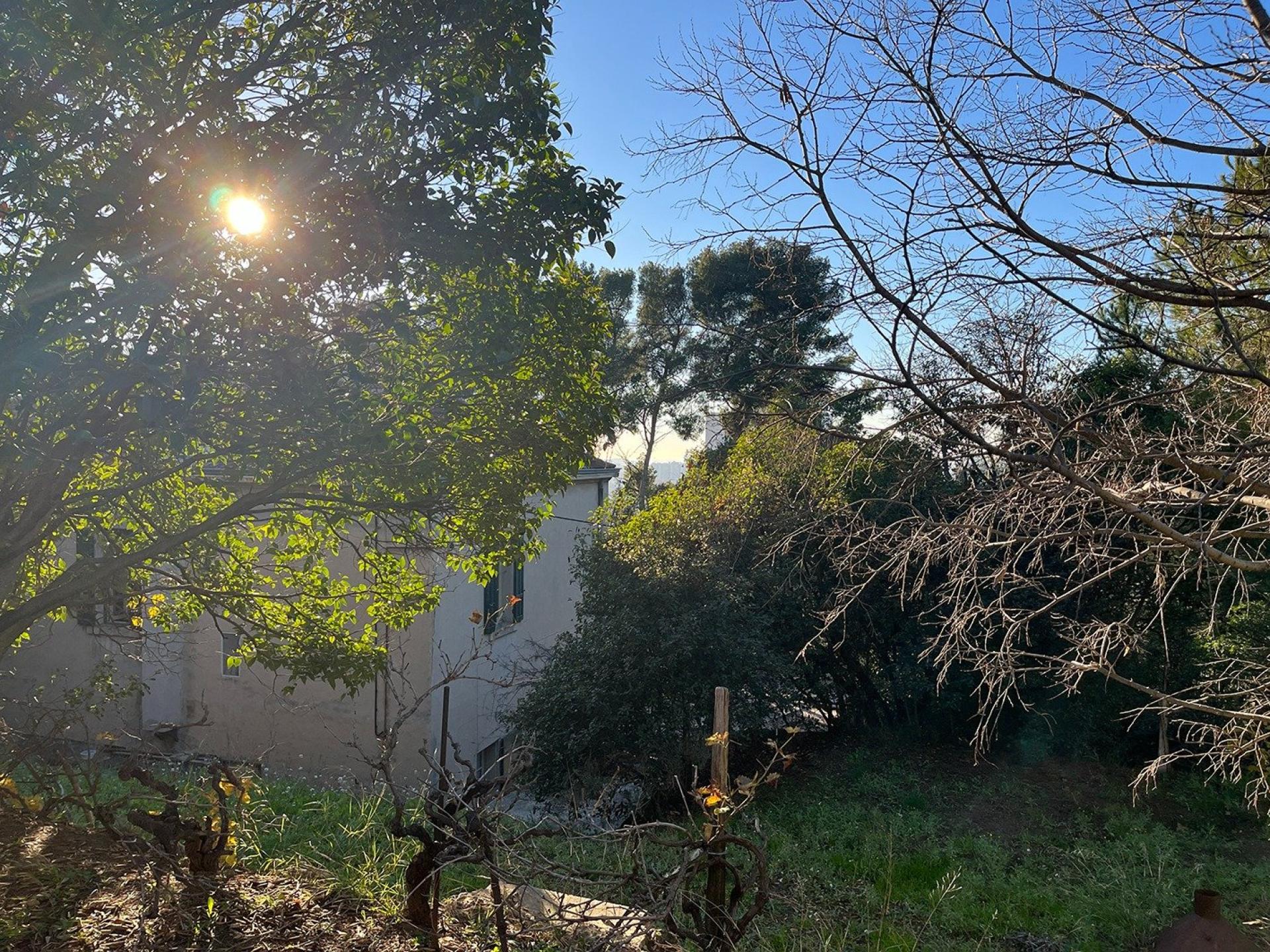 Photo 12 de l'annonce.