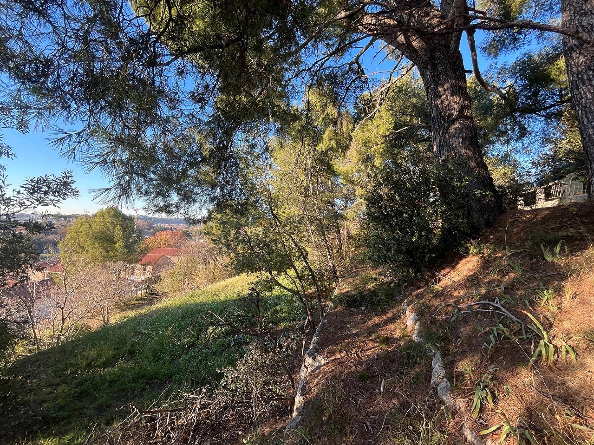 Photo 11 de l'annonce.