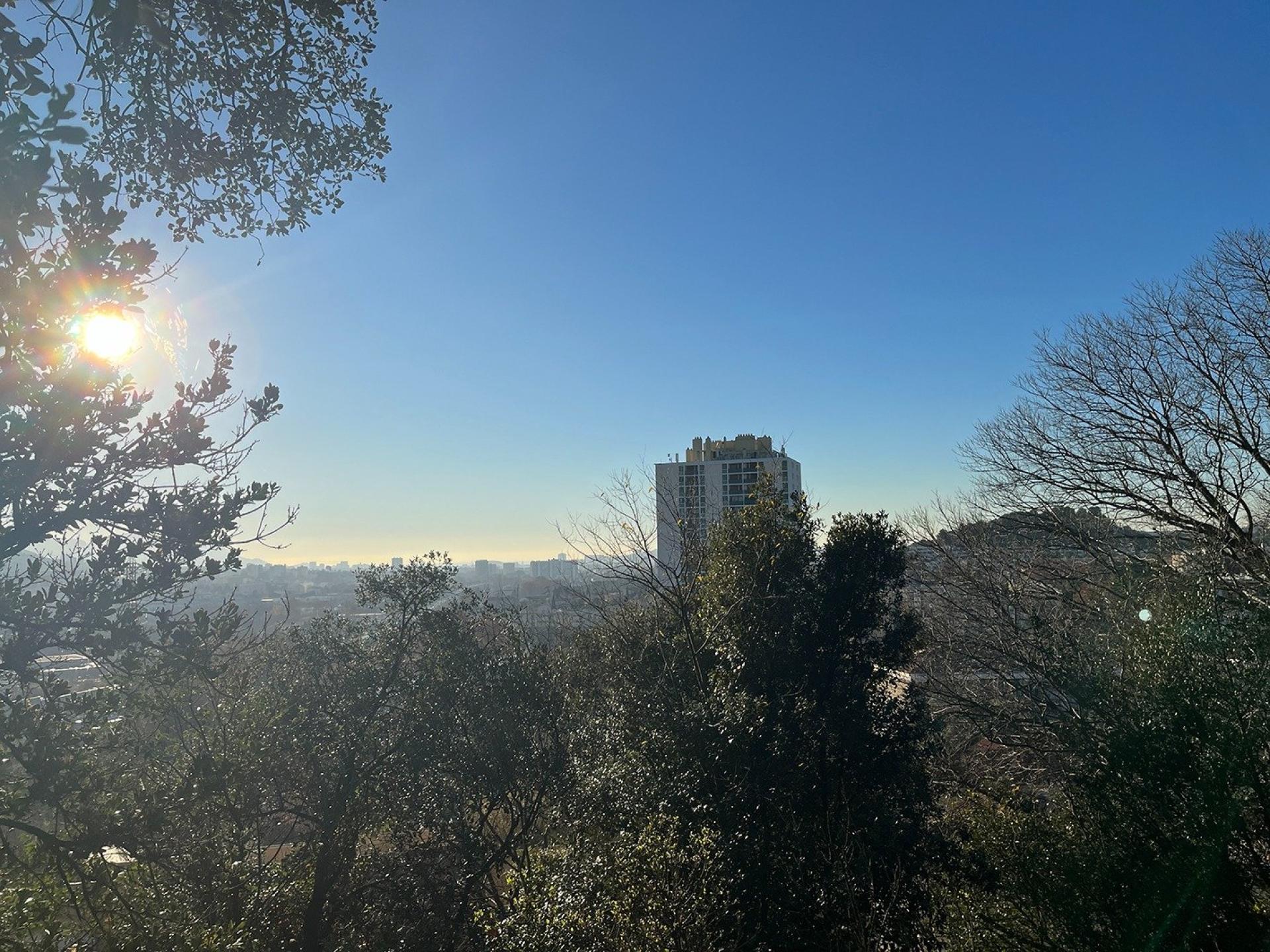 Photo 8 de l'annonce.