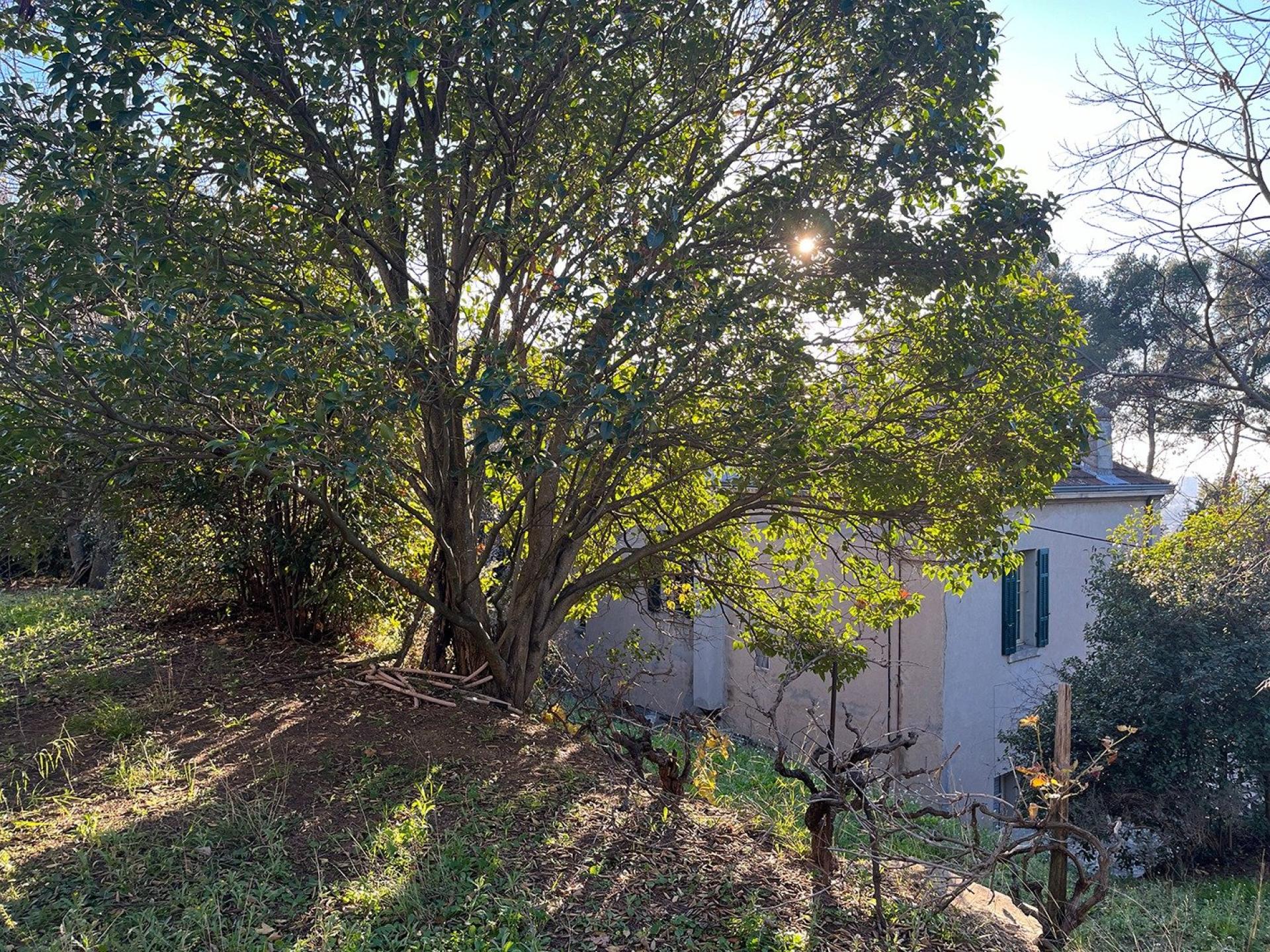 Photo 10 de l'annonce.