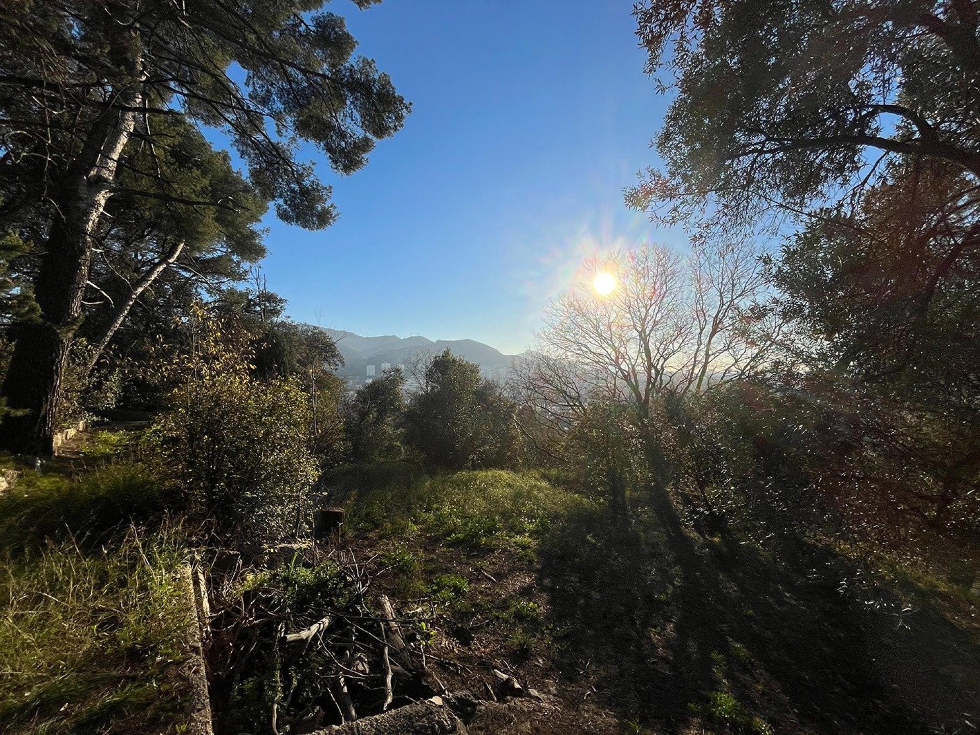 Photo 14 de l'annonce.