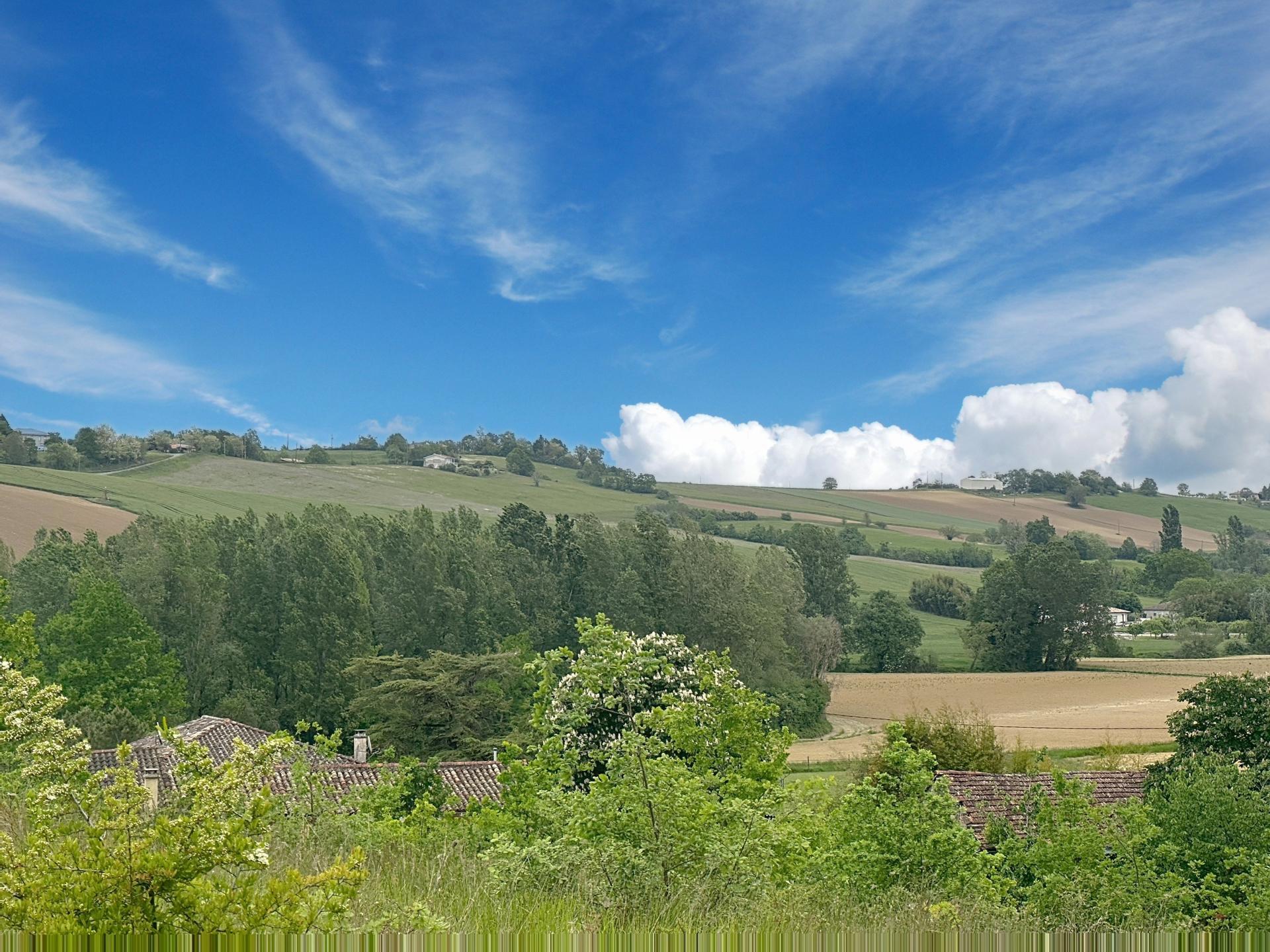 Photo 24 de l'annonce.