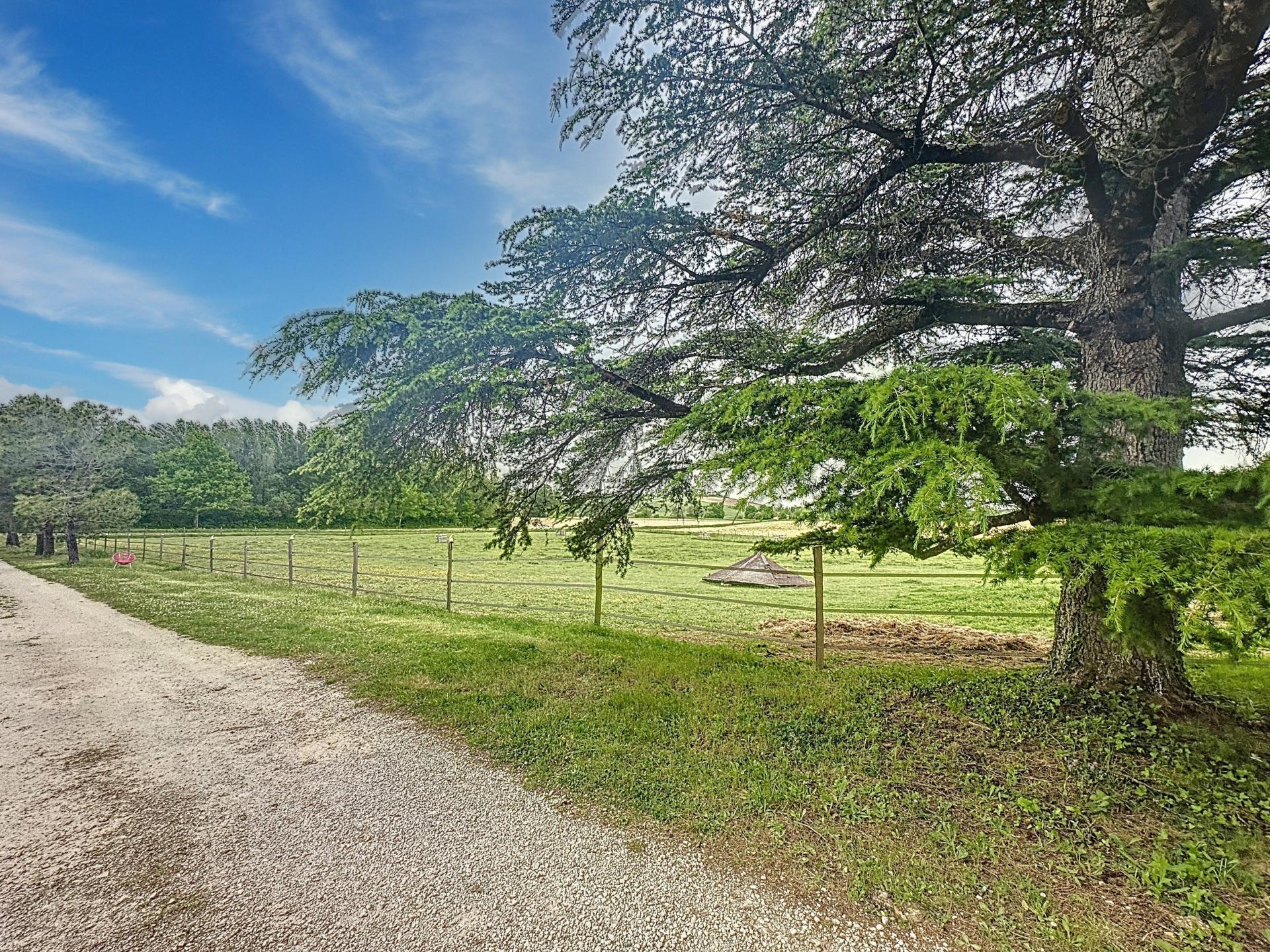 Photo 27 de l'annonce.