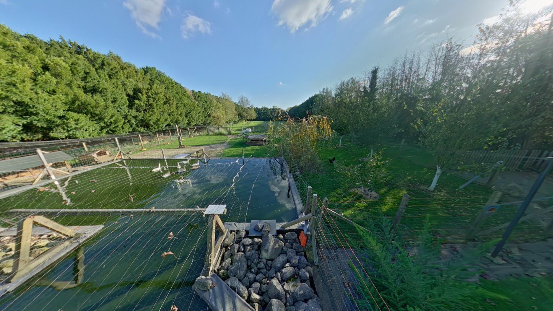 Photo 15 of the listing.