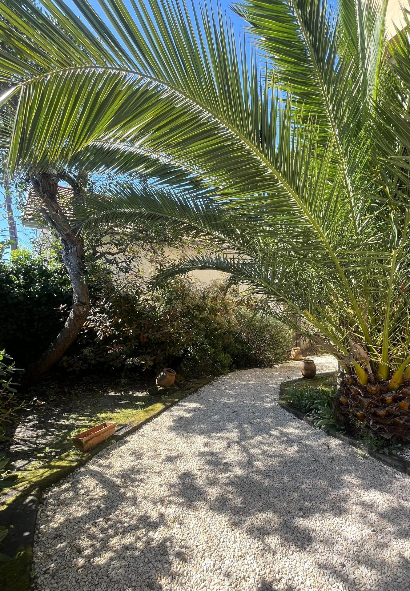 Photo 3 de l'annonce.