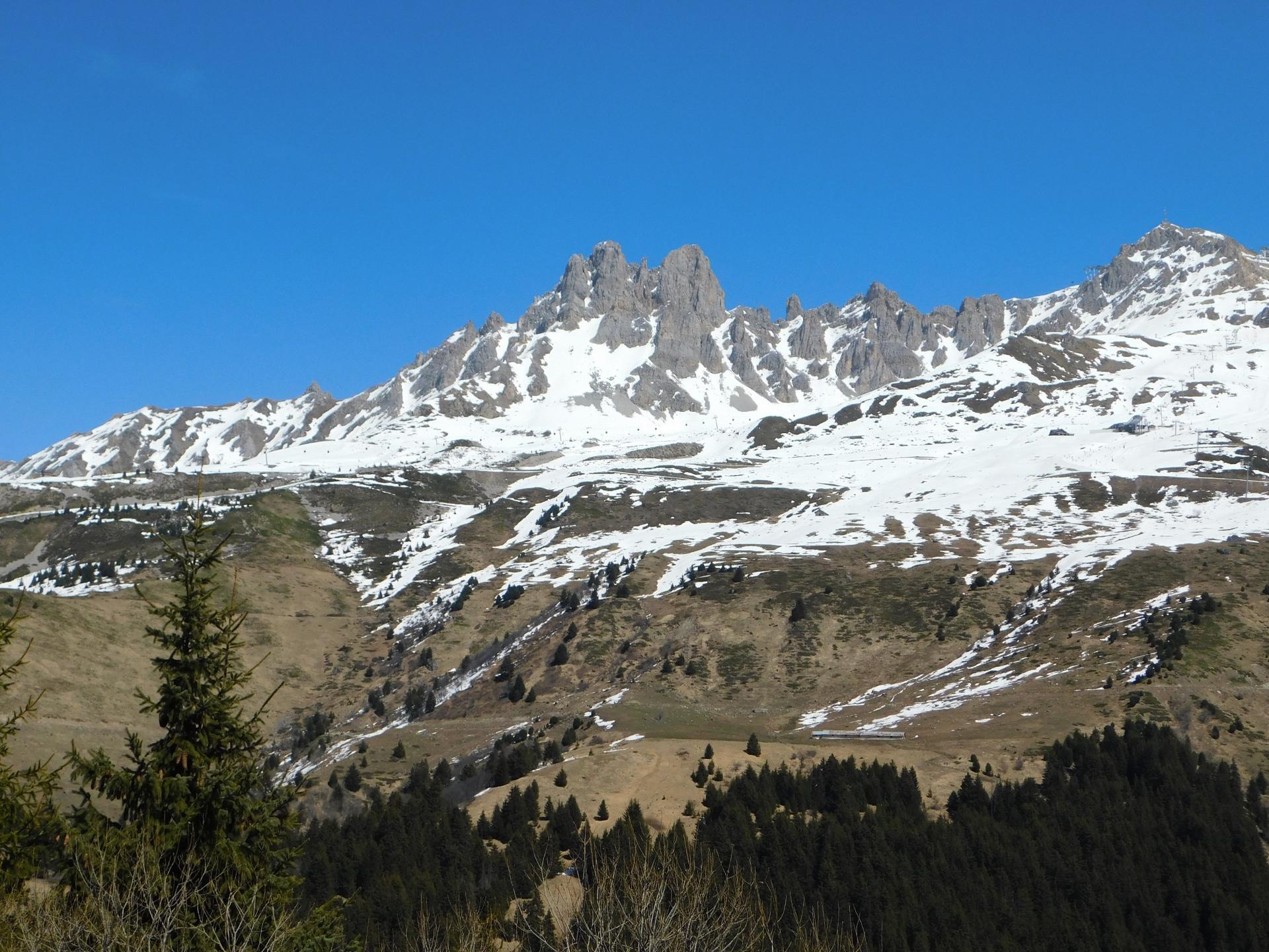 Photo 5 of the listing.