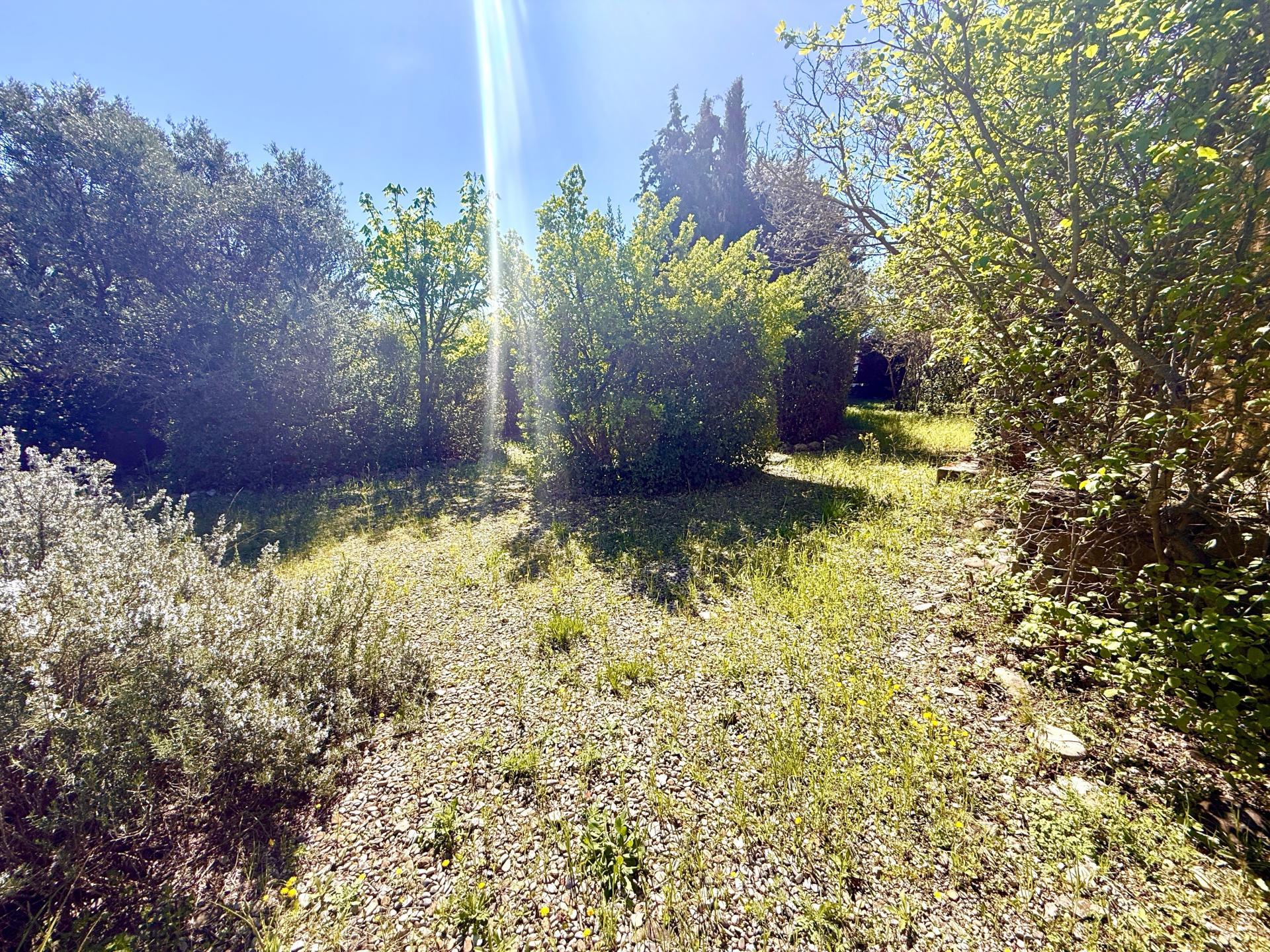 Photo-terrain