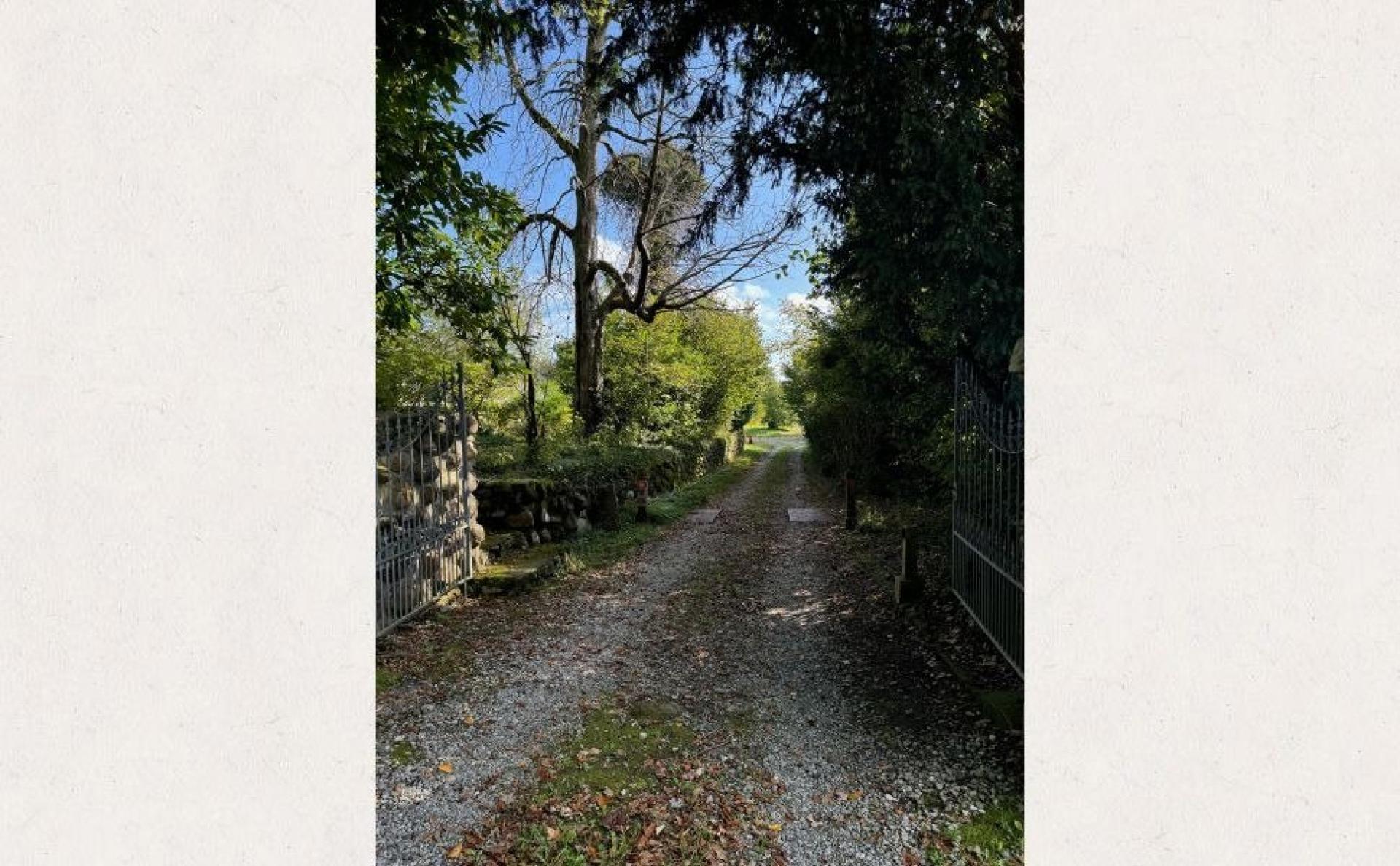 Photo 2 of the listing.