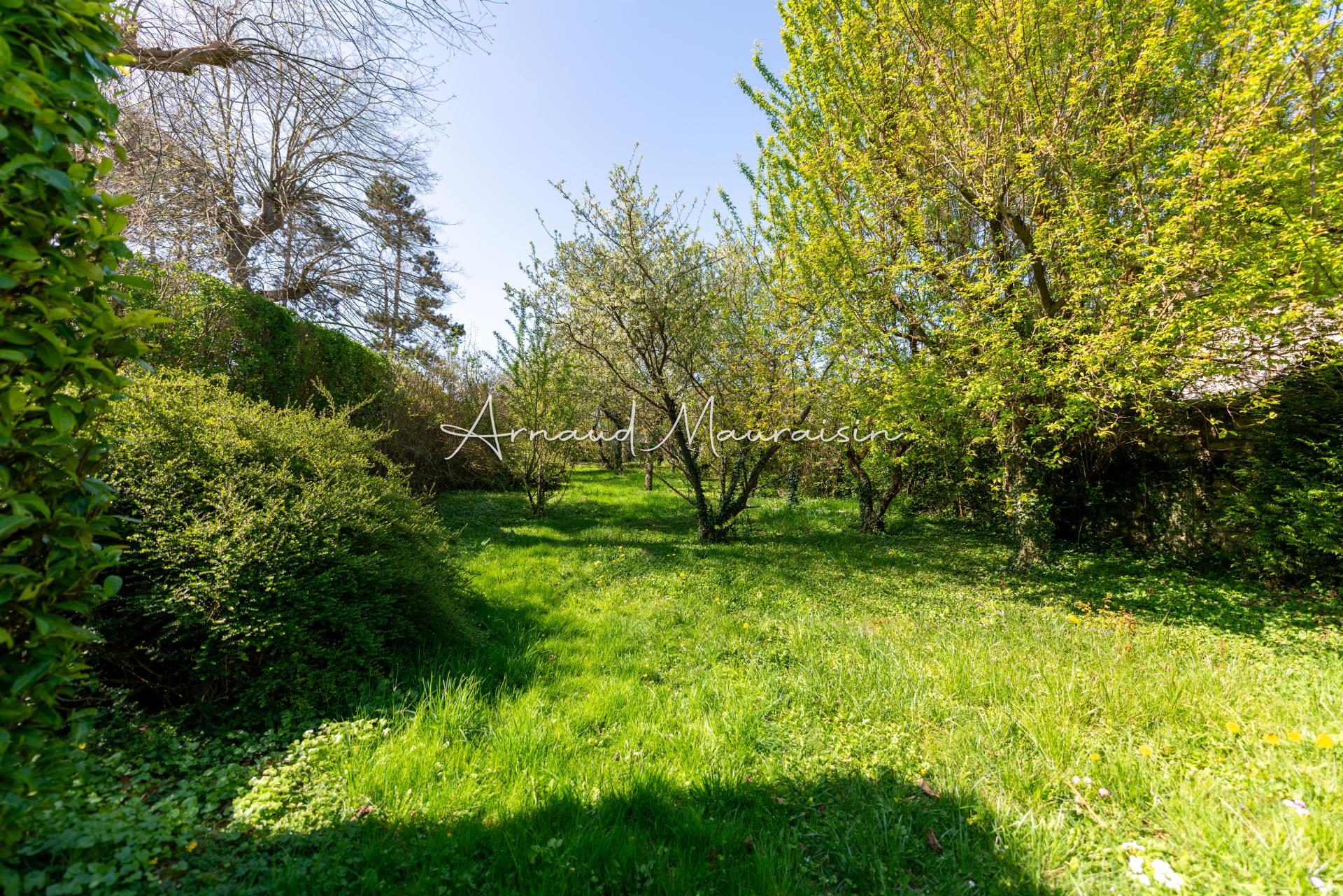 Photo 5 de l'annonce.