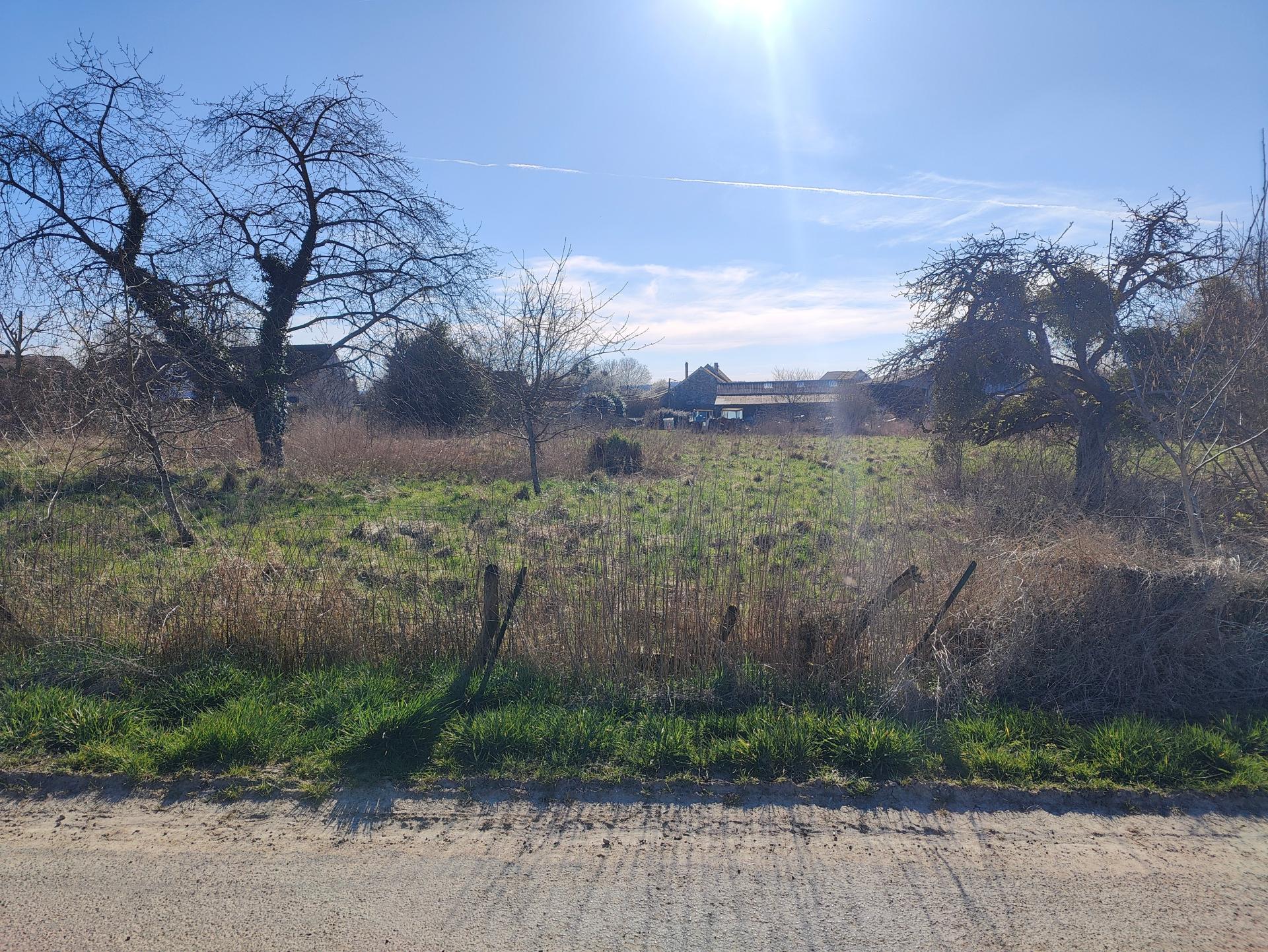 Photo-terrain