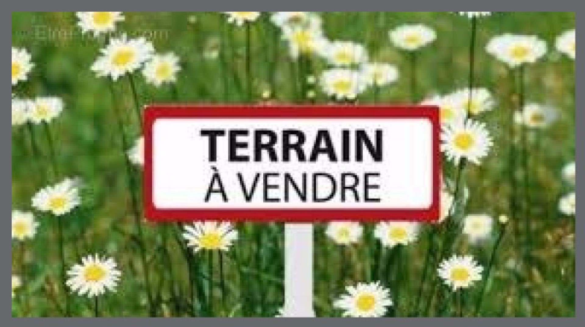Photo-terrain